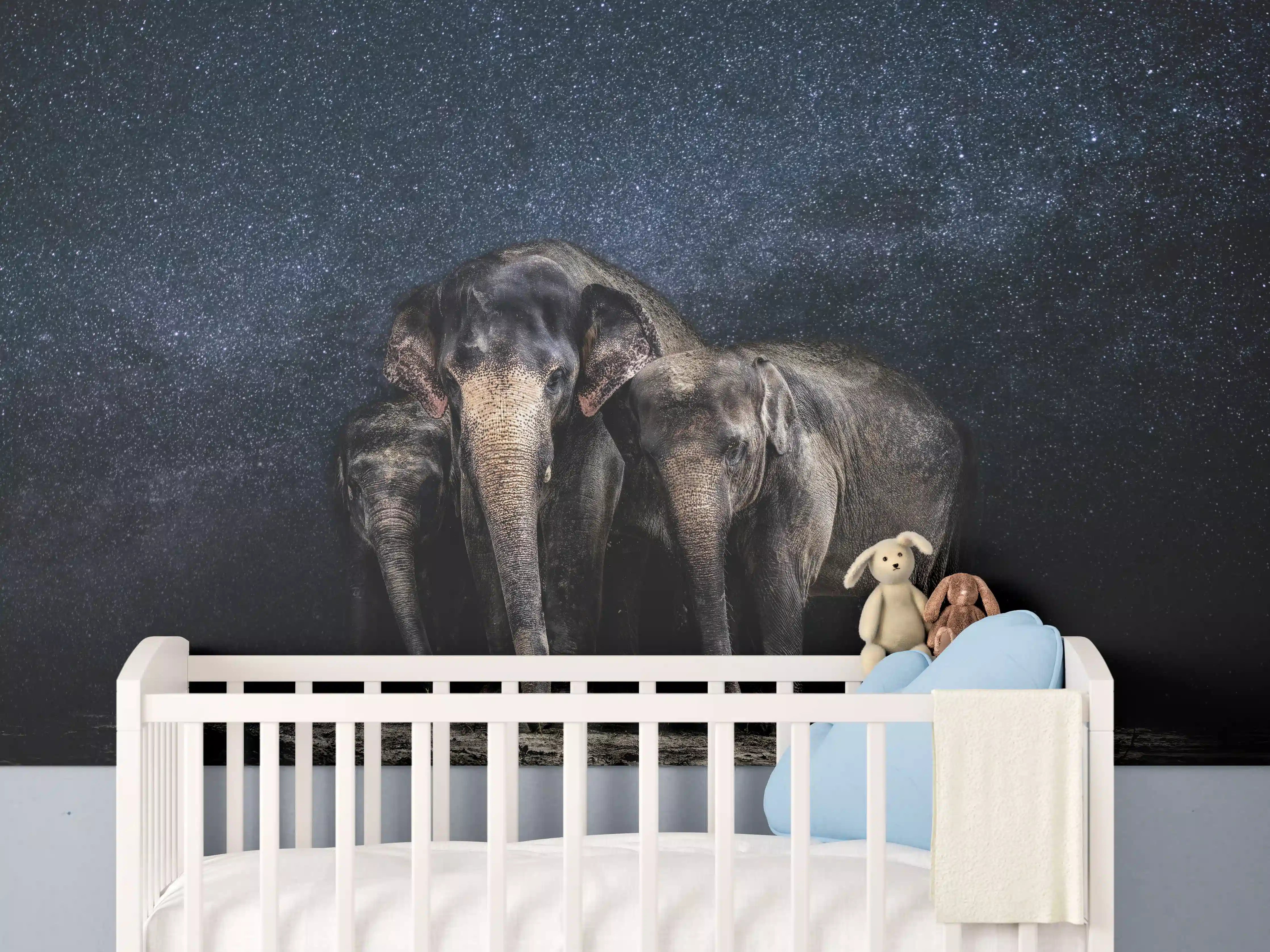 Babyzimmer Wandgestaltung - Elefantenfamilie zwischen den Sternen