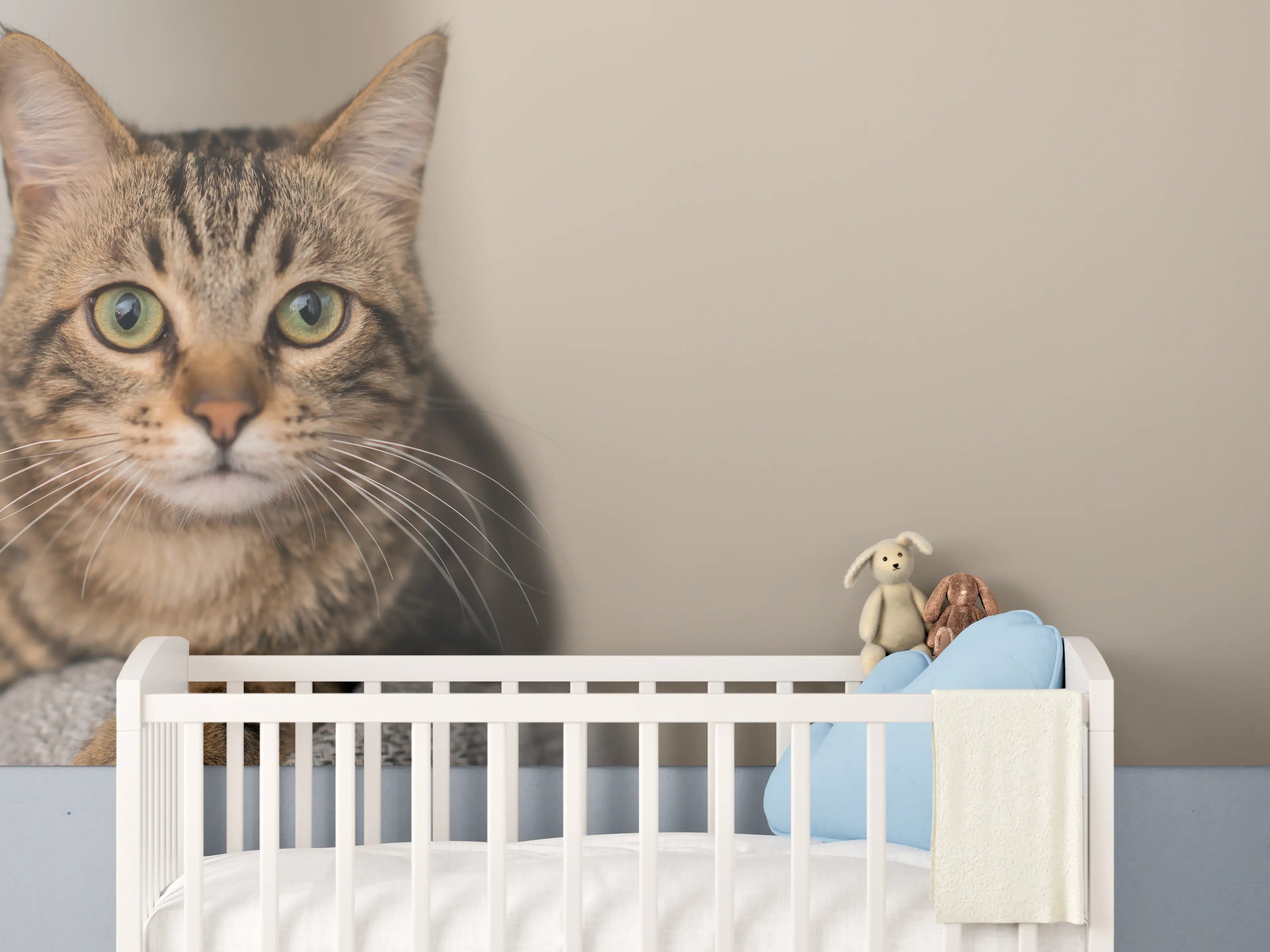 Babyzimmer Wandgestaltung - Entspannte Hauskatze in Beige-Braun