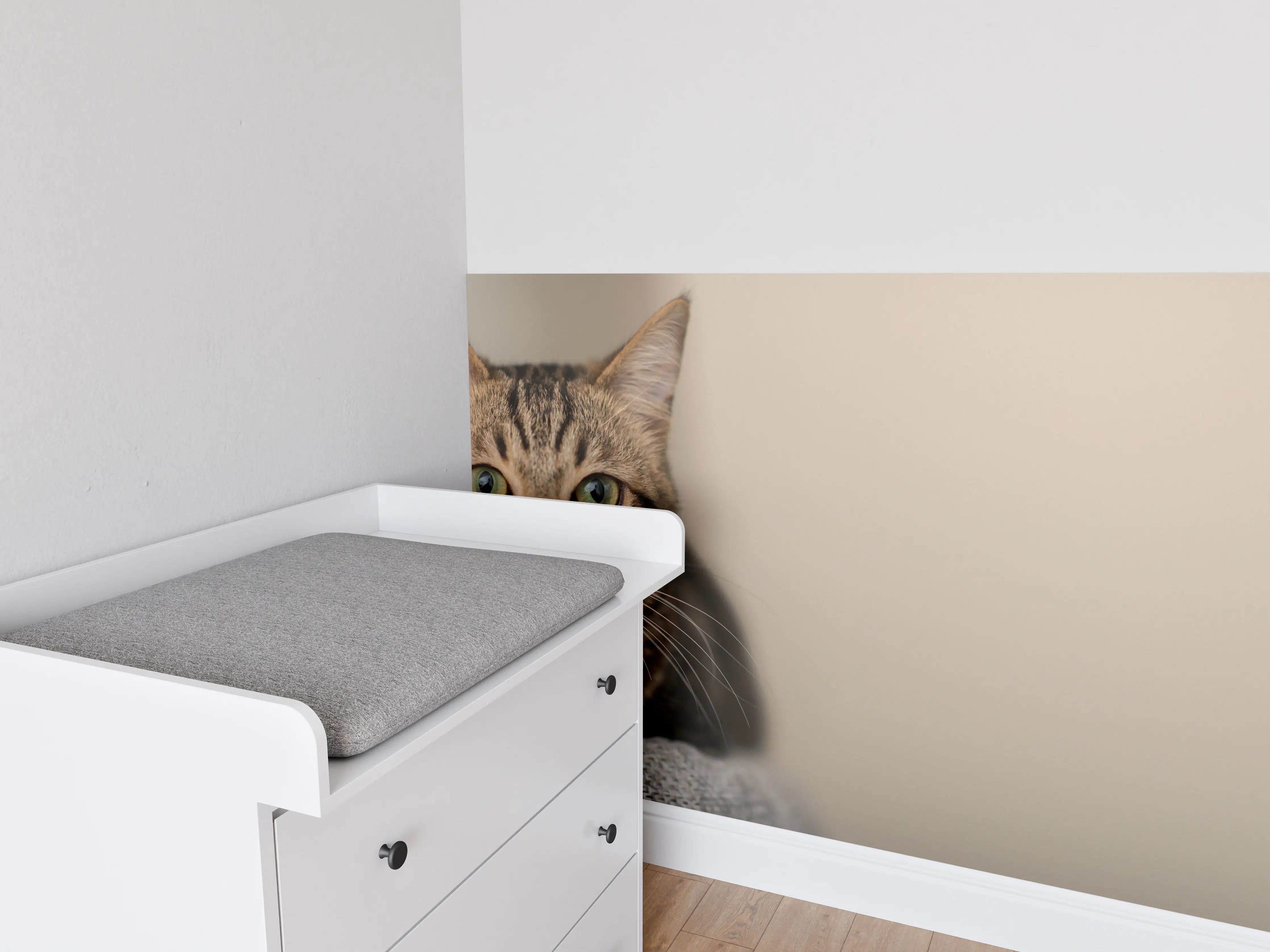 Babyzimmer Wandgestaltung - Entspannte Hauskatze in Beige-Braun