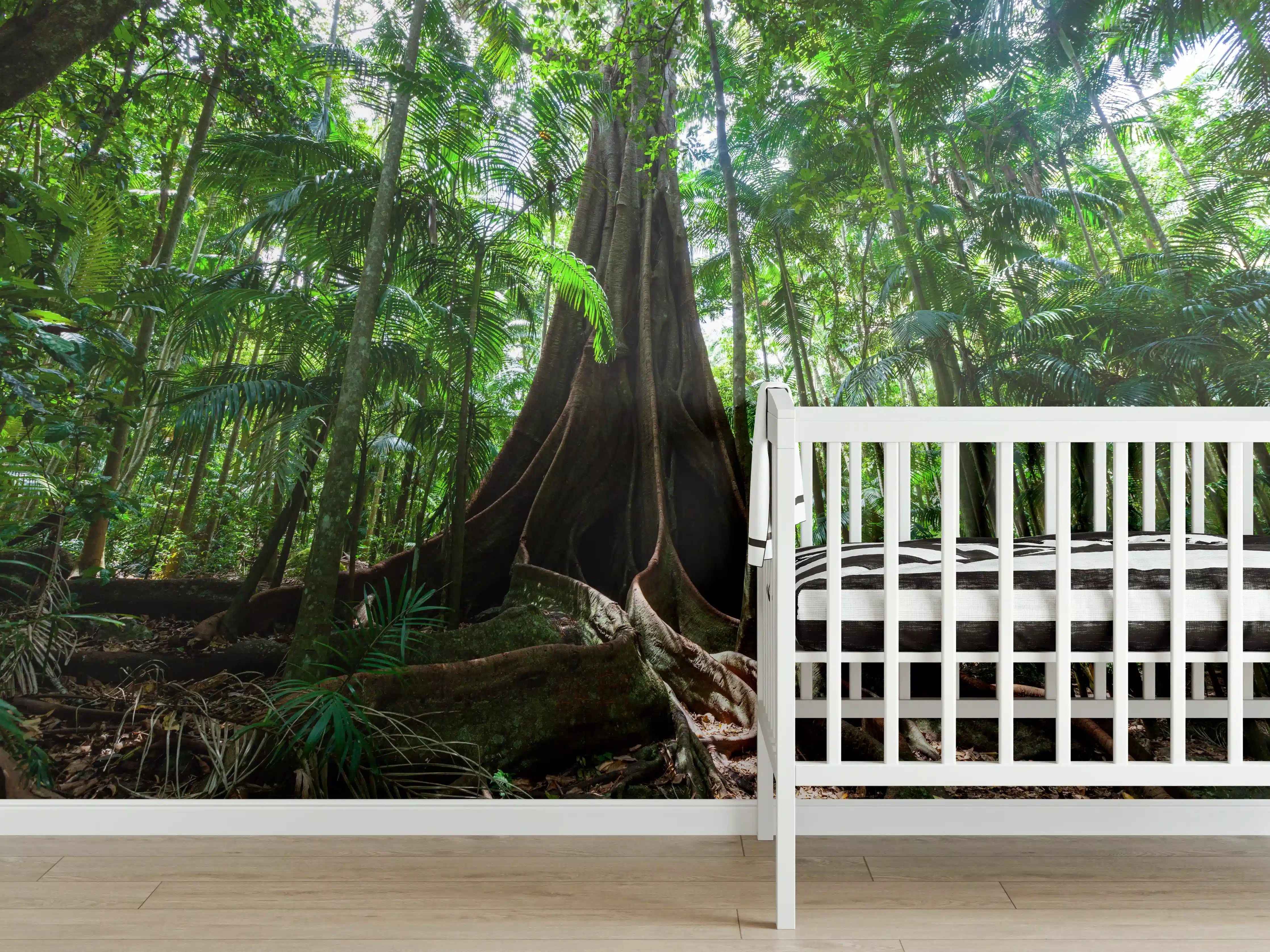 Babyzimmer Wandgestaltung - Erstaunlicher Riesenfeigenbaum