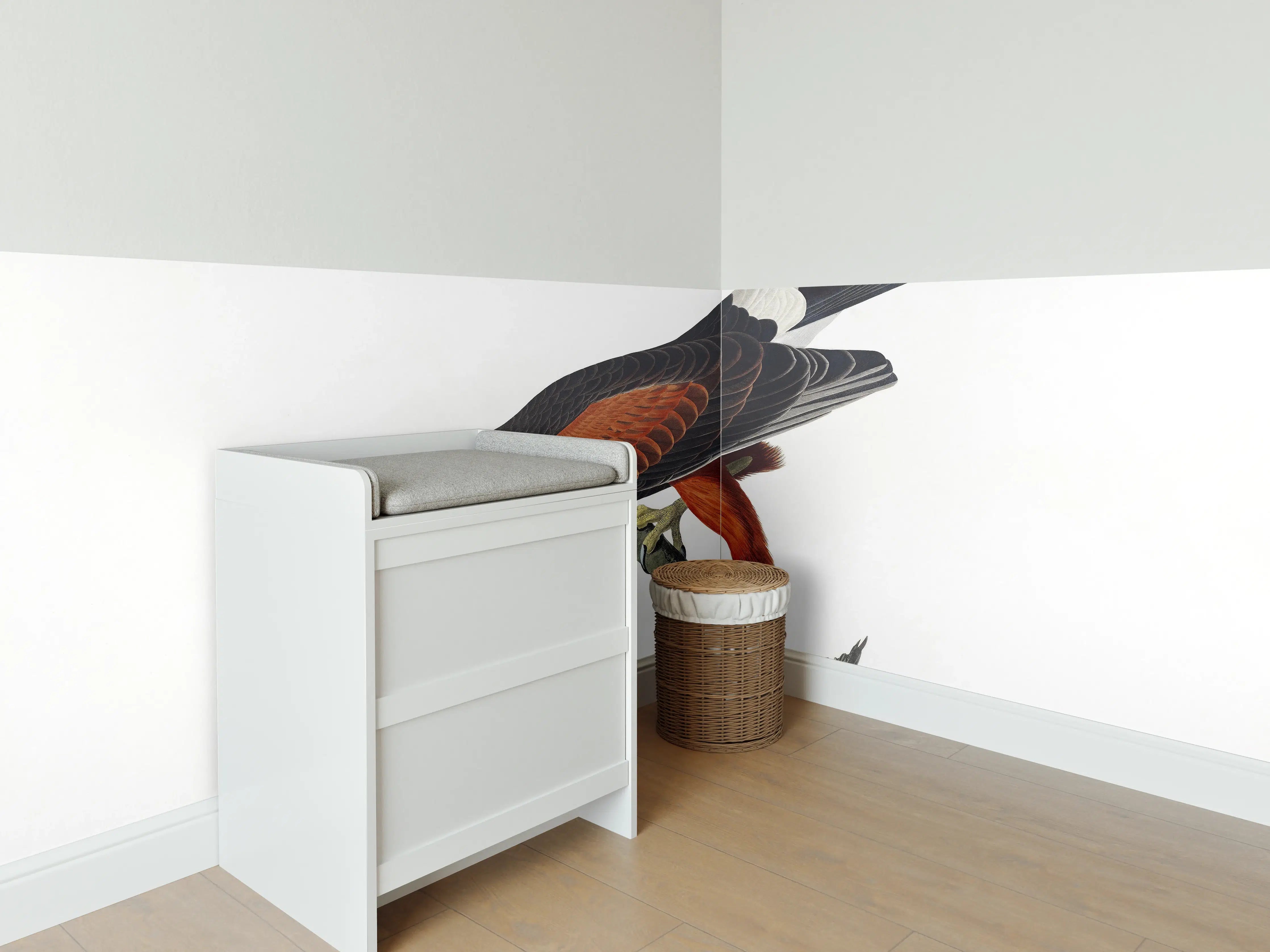 Babyzimmer Wandgestaltung - Falken Portrait - John James Audubon