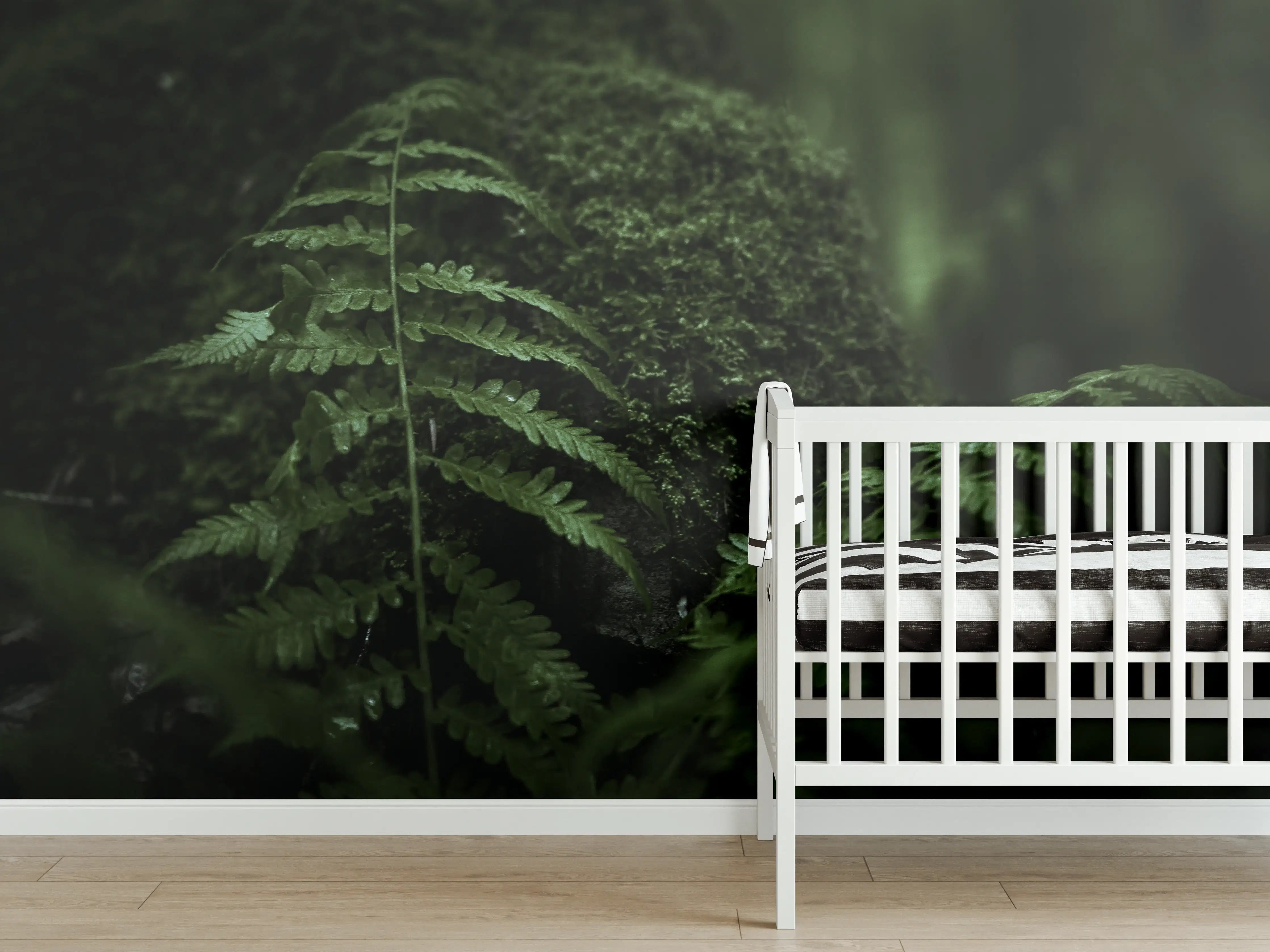 Babyzimmer Wandgestaltung - Farn im Wald des Allgäu bei Dunkelheit