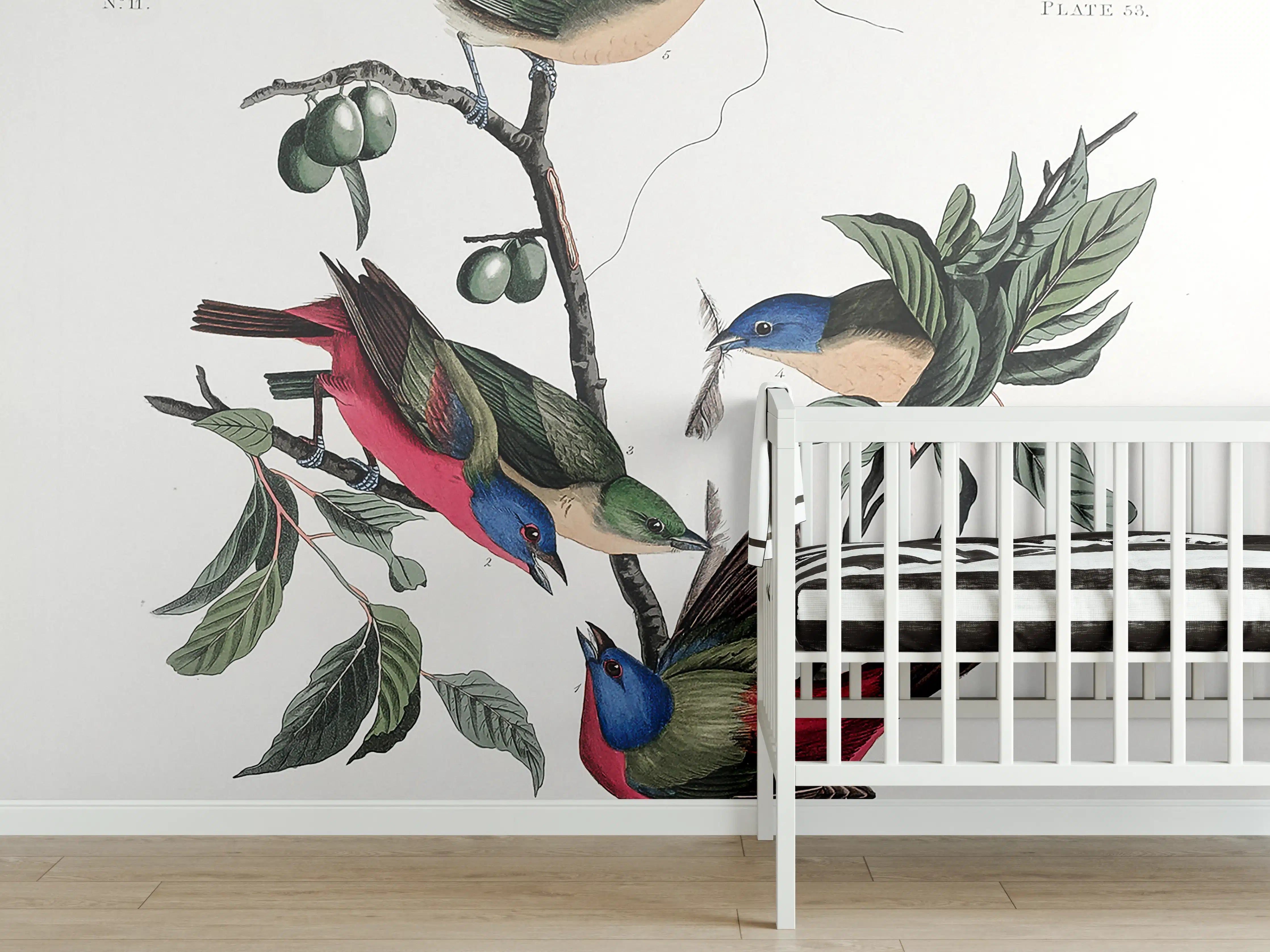 Babyzimmer Wandgestaltung - Fink Portrait - John James Audubon