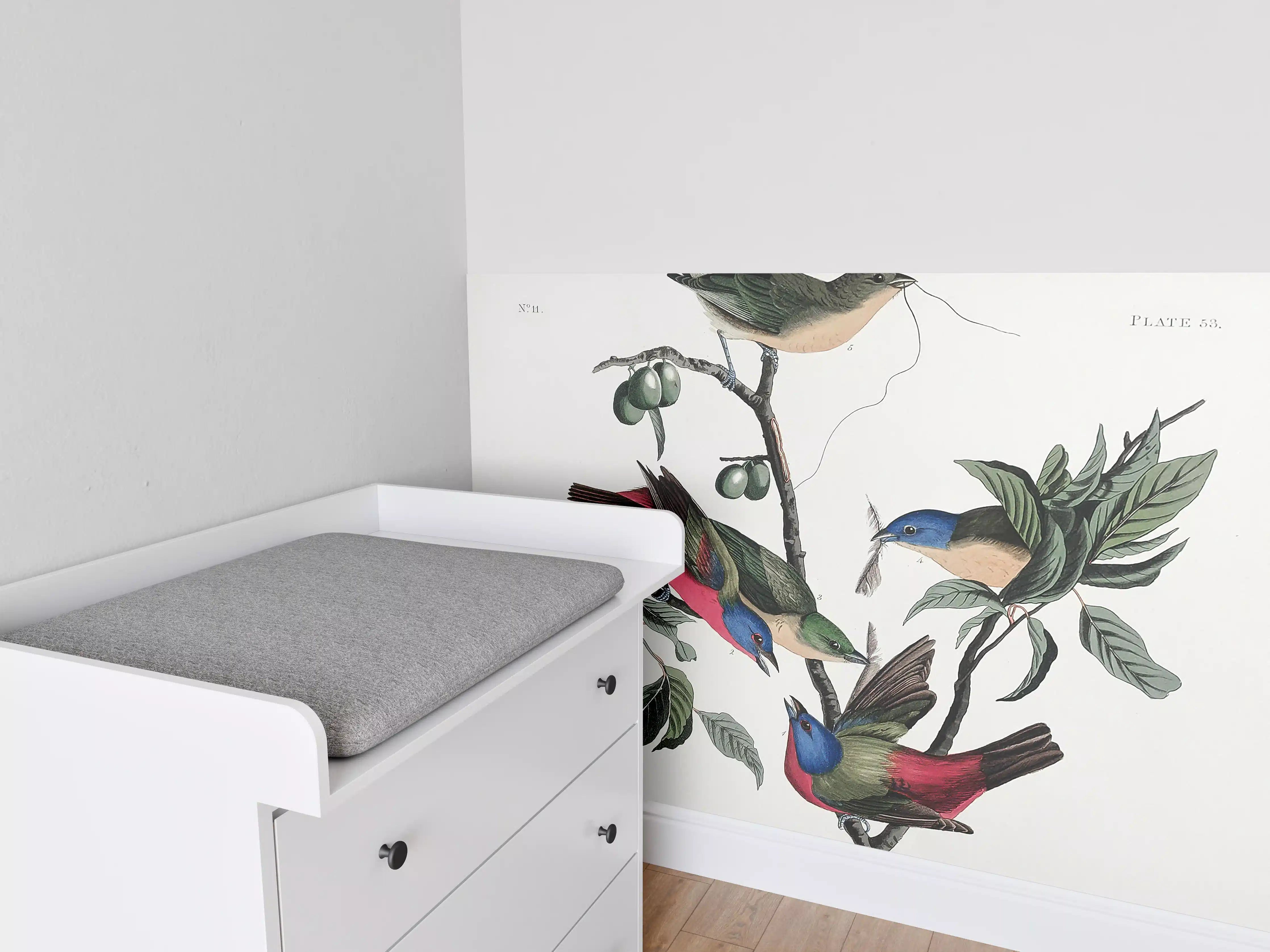 Babyzimmer Wandgestaltung - Fink Portrait - John James Audubon