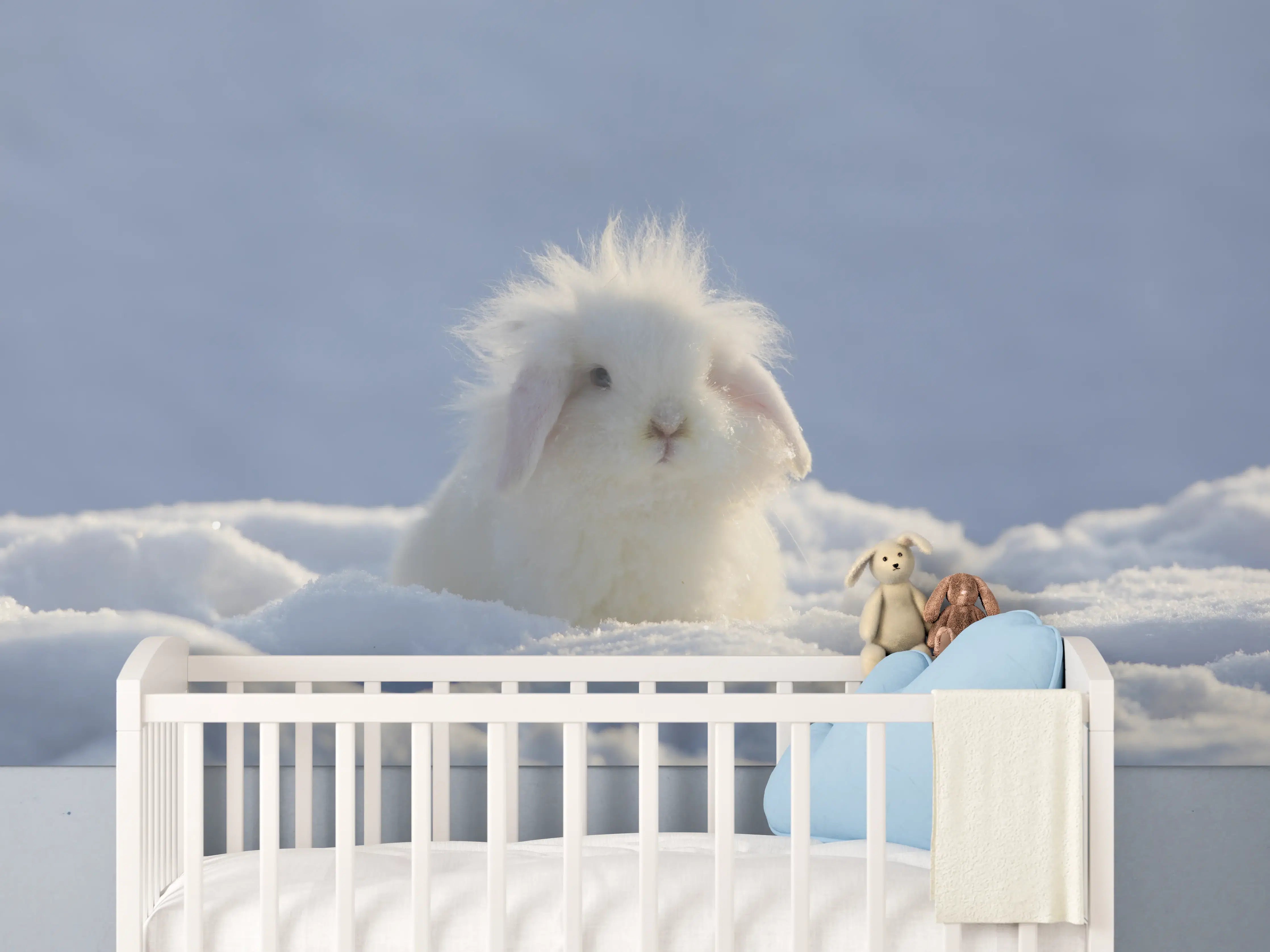 Babyzimmer Wandgestaltung - Flauschiges Kaninchen im Schnee