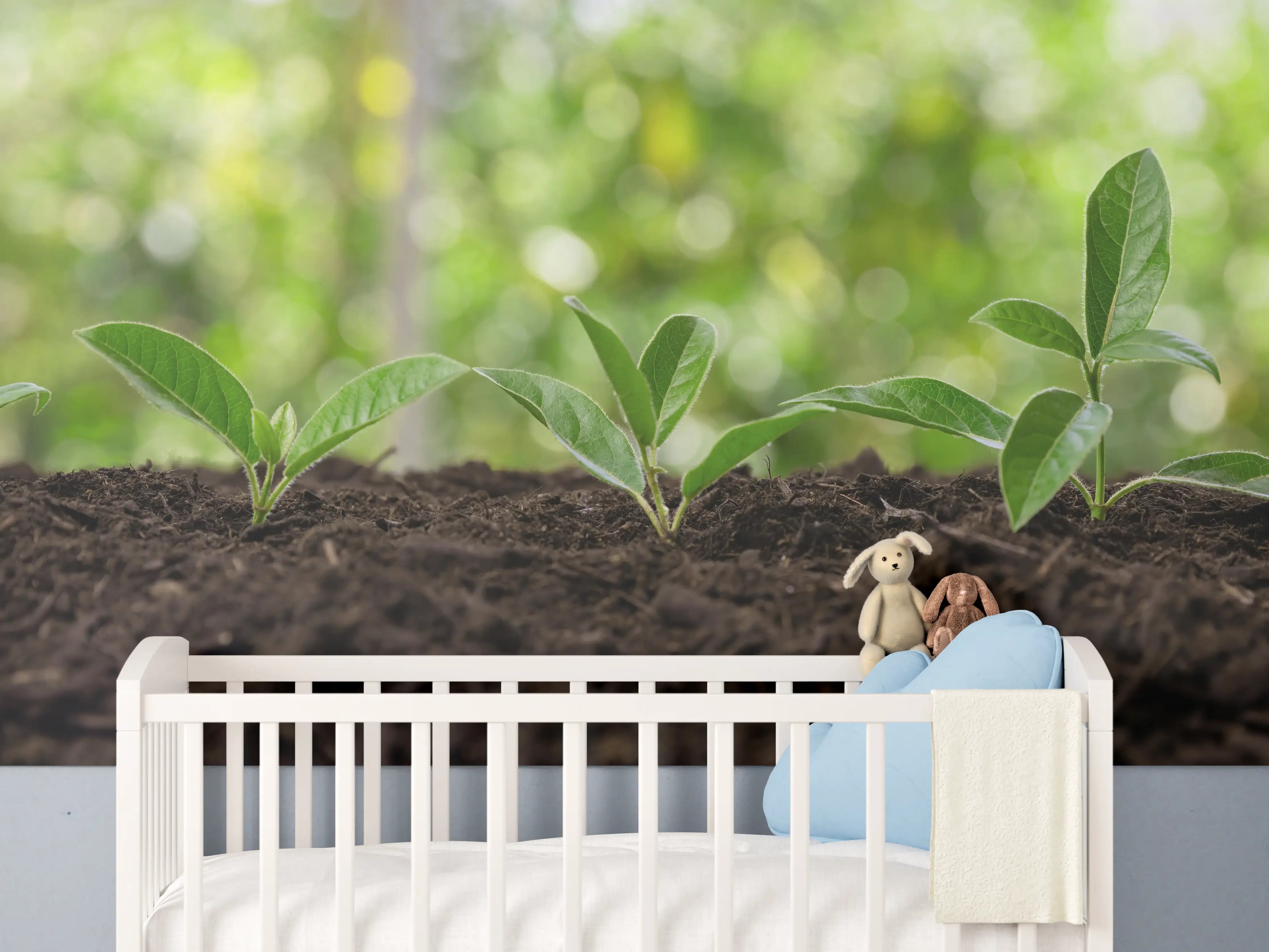 Babyzimmer Wandgestaltung - Frisch Sprießende Setzlinge