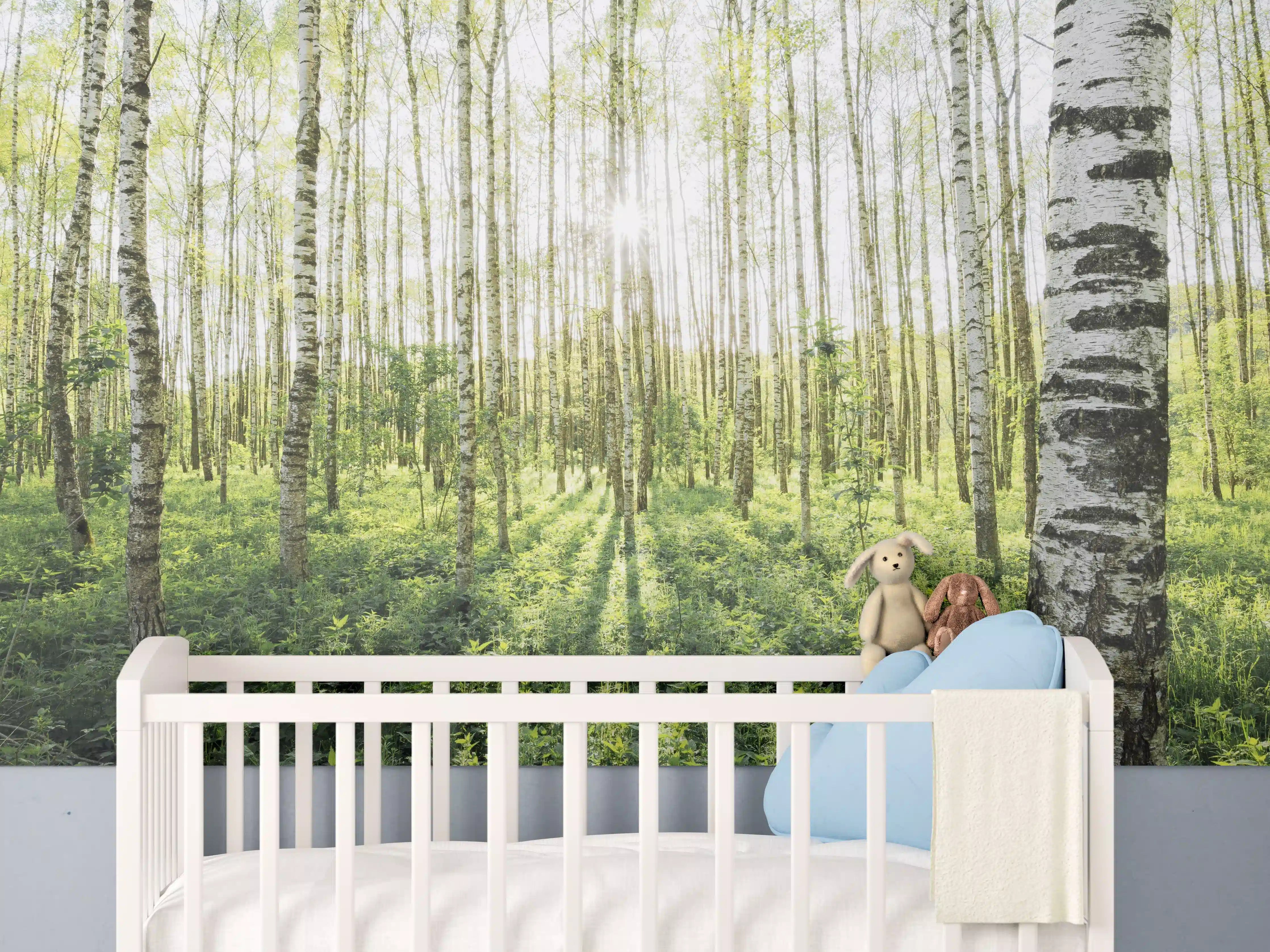 Babyzimmer Wandgestaltung - Frühlings-Birkenwald Lichtspiel