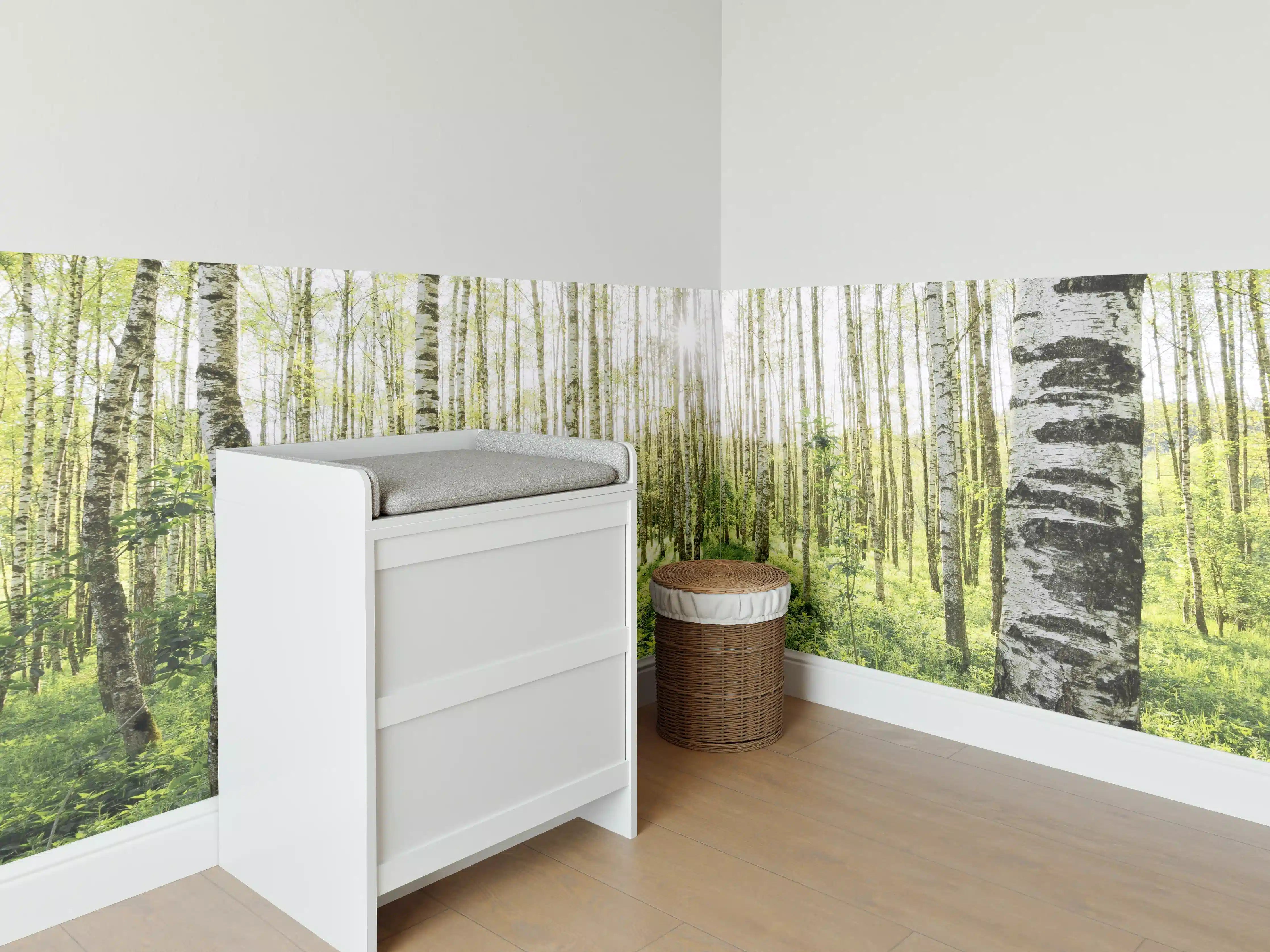 Babyzimmer Wandgestaltung - Frühlings-Birkenwald Lichtspiel