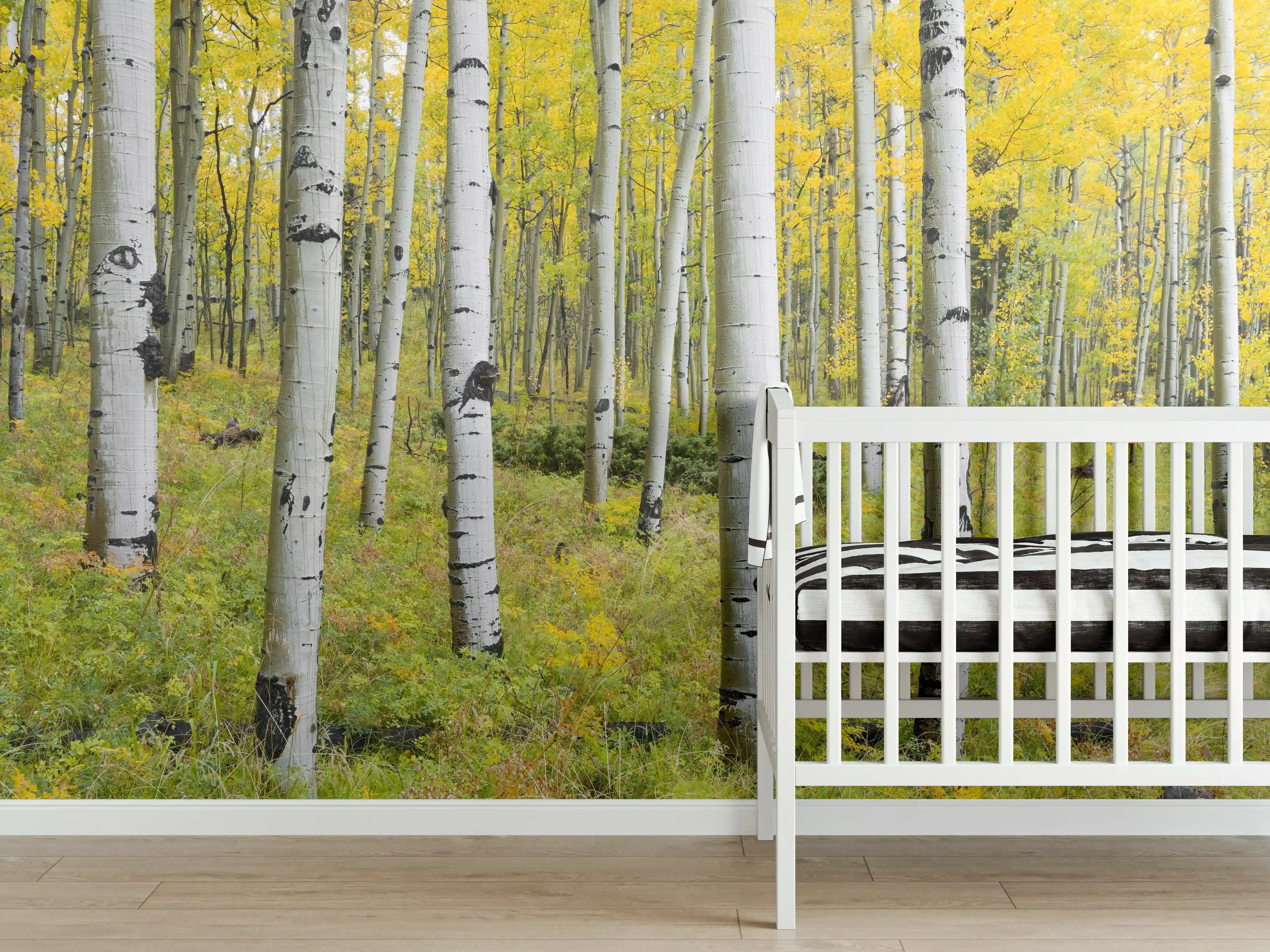 Babyzimmer Wandgestaltung - Gelb, grüner Birkenwald