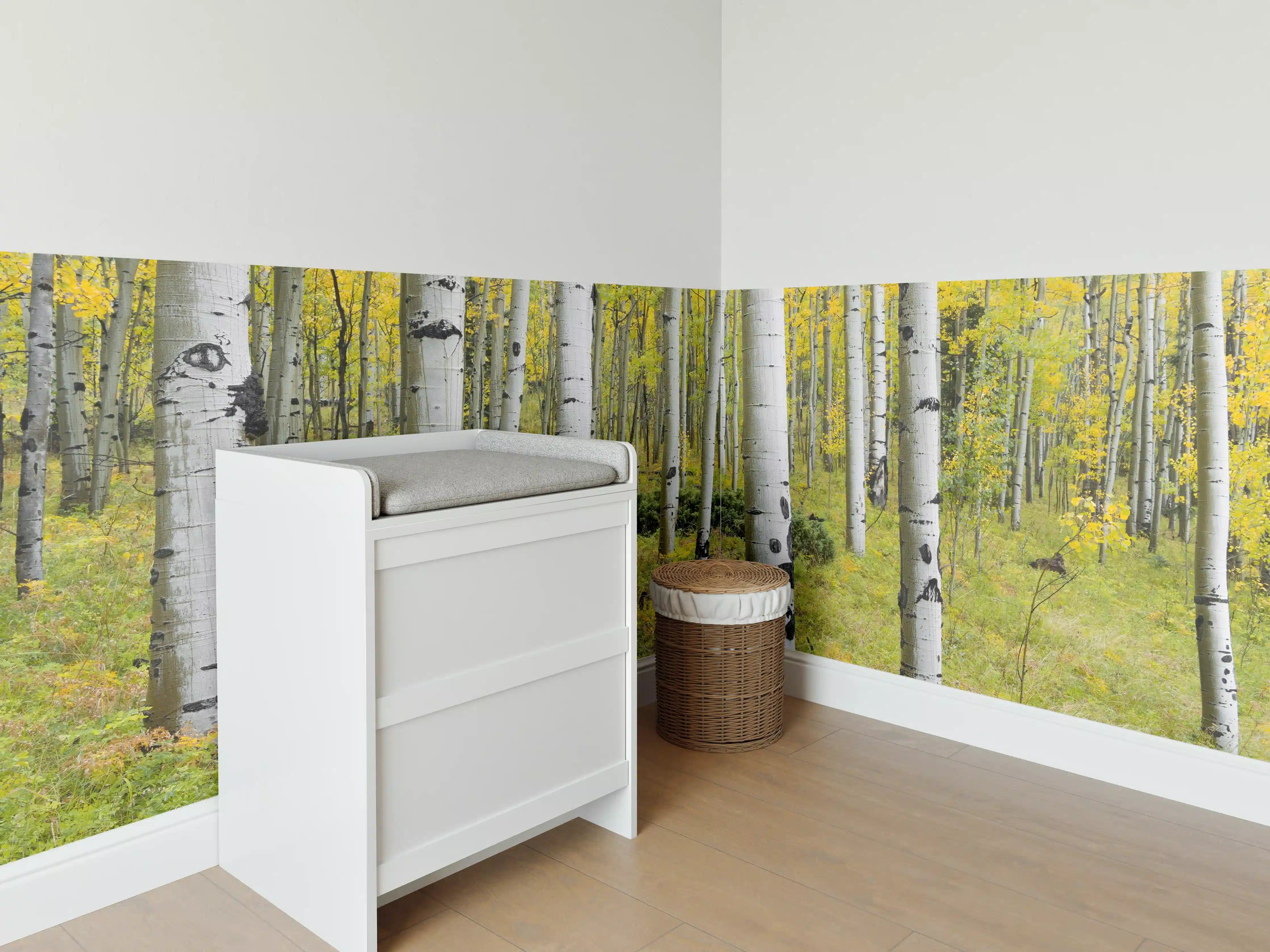 Babyzimmer Wandgestaltung - Gelb, grüner Birkenwald