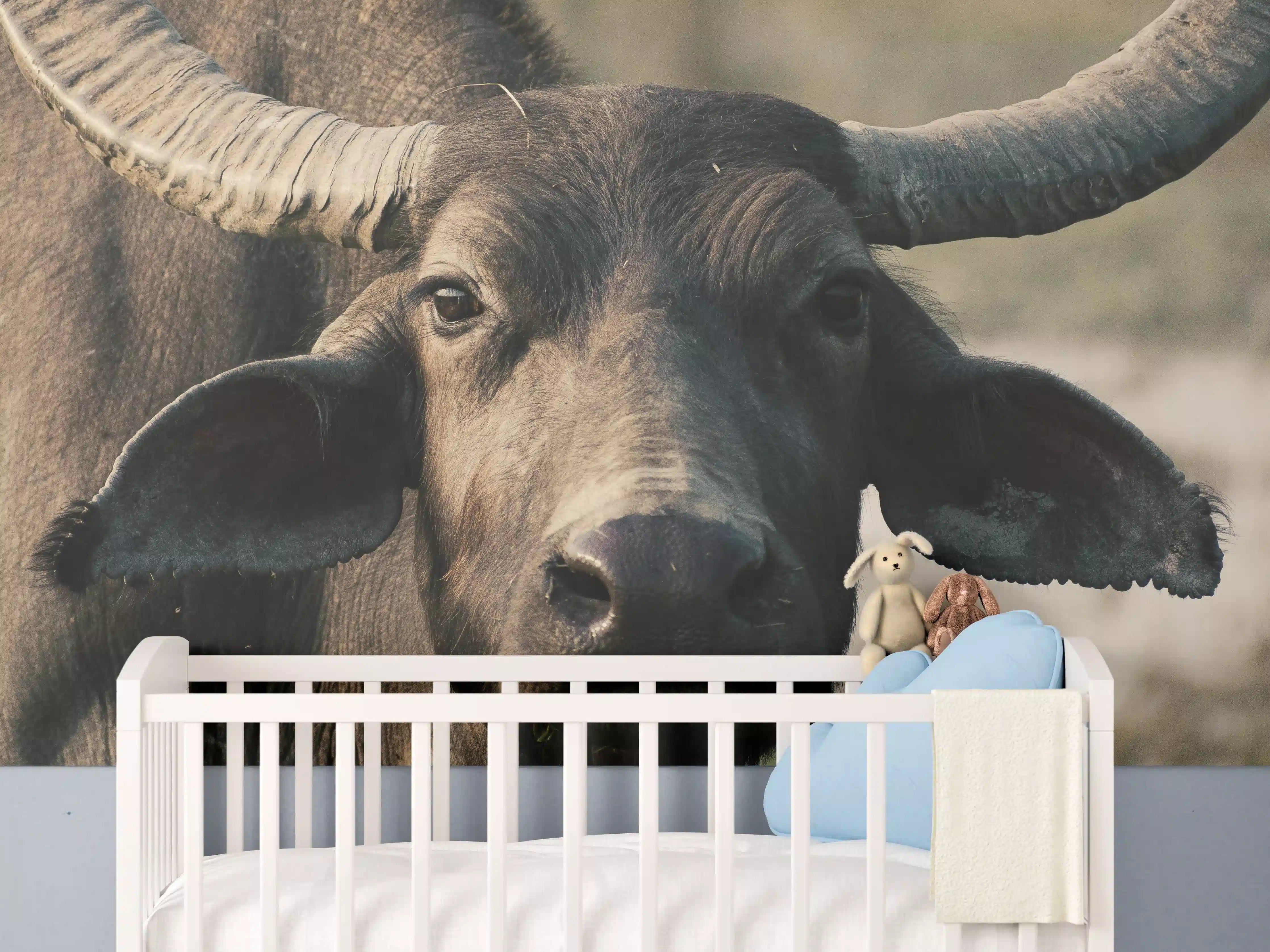 Babyzimmer Wandgestaltung - Gesicht eines Büffels