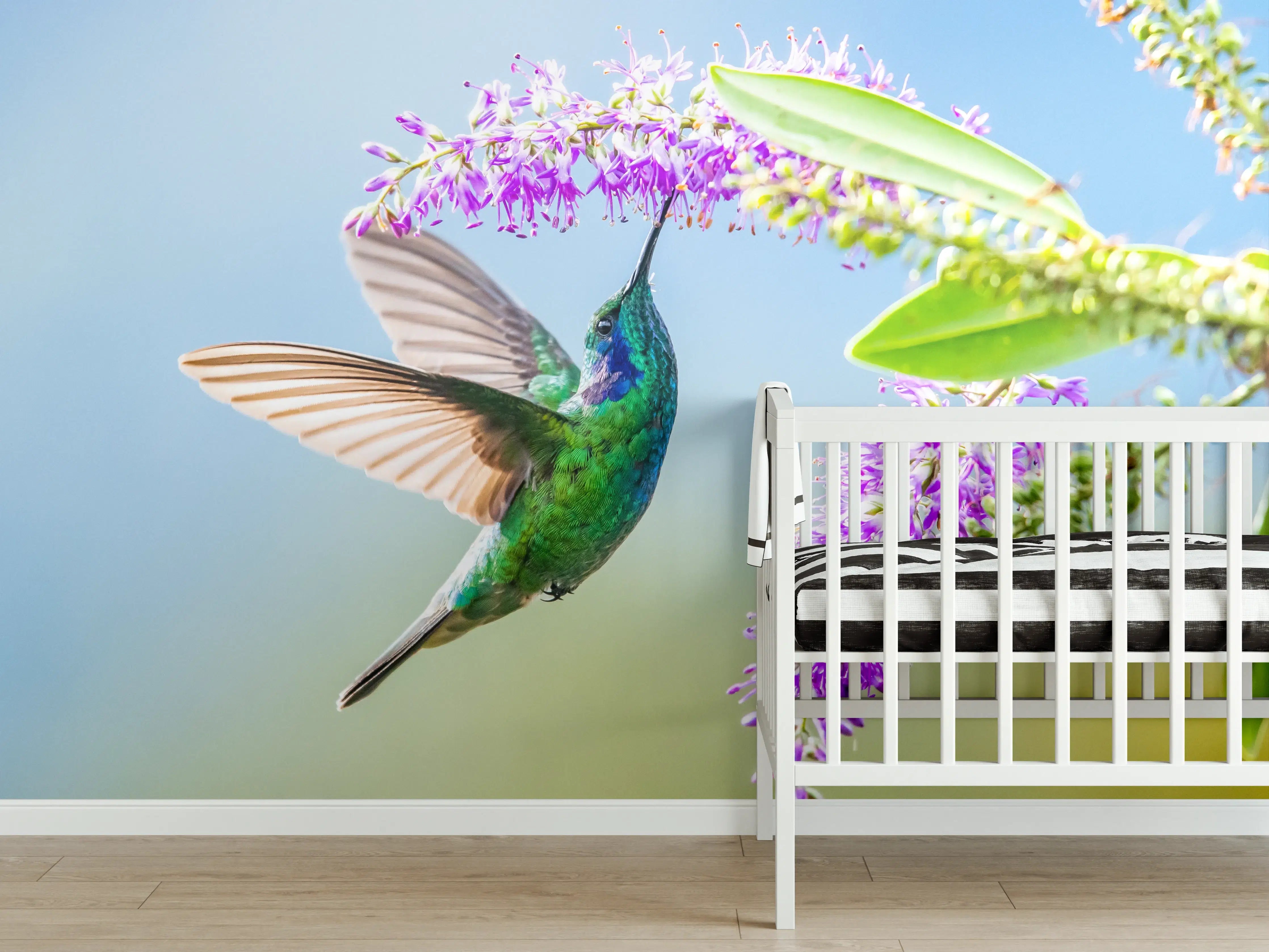 Babyzimmer Wandgestaltung - Grauer Kolibri im Blütenflug