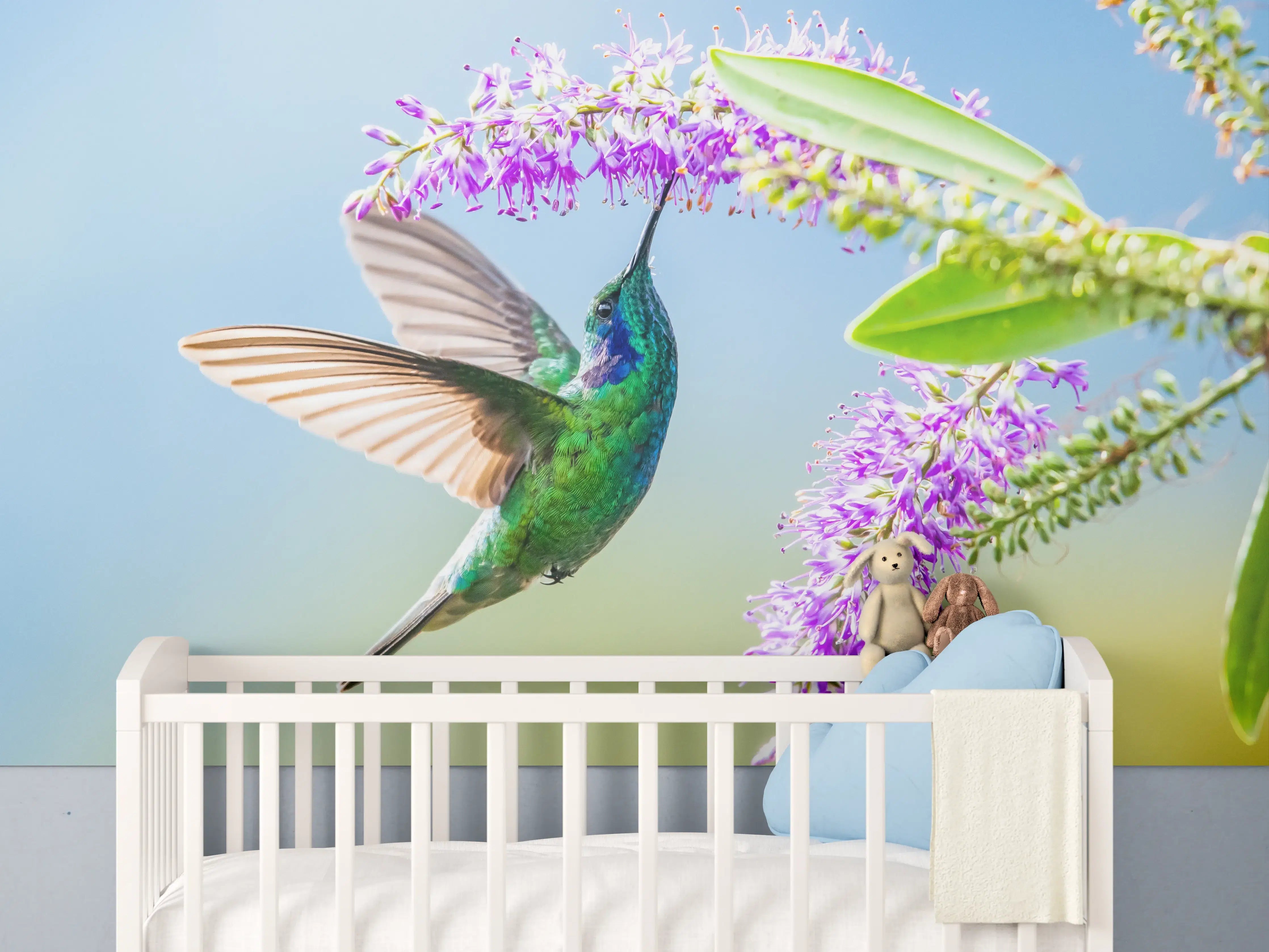 Babyzimmer Wandgestaltung - Grauer Kolibri im Blütenflug