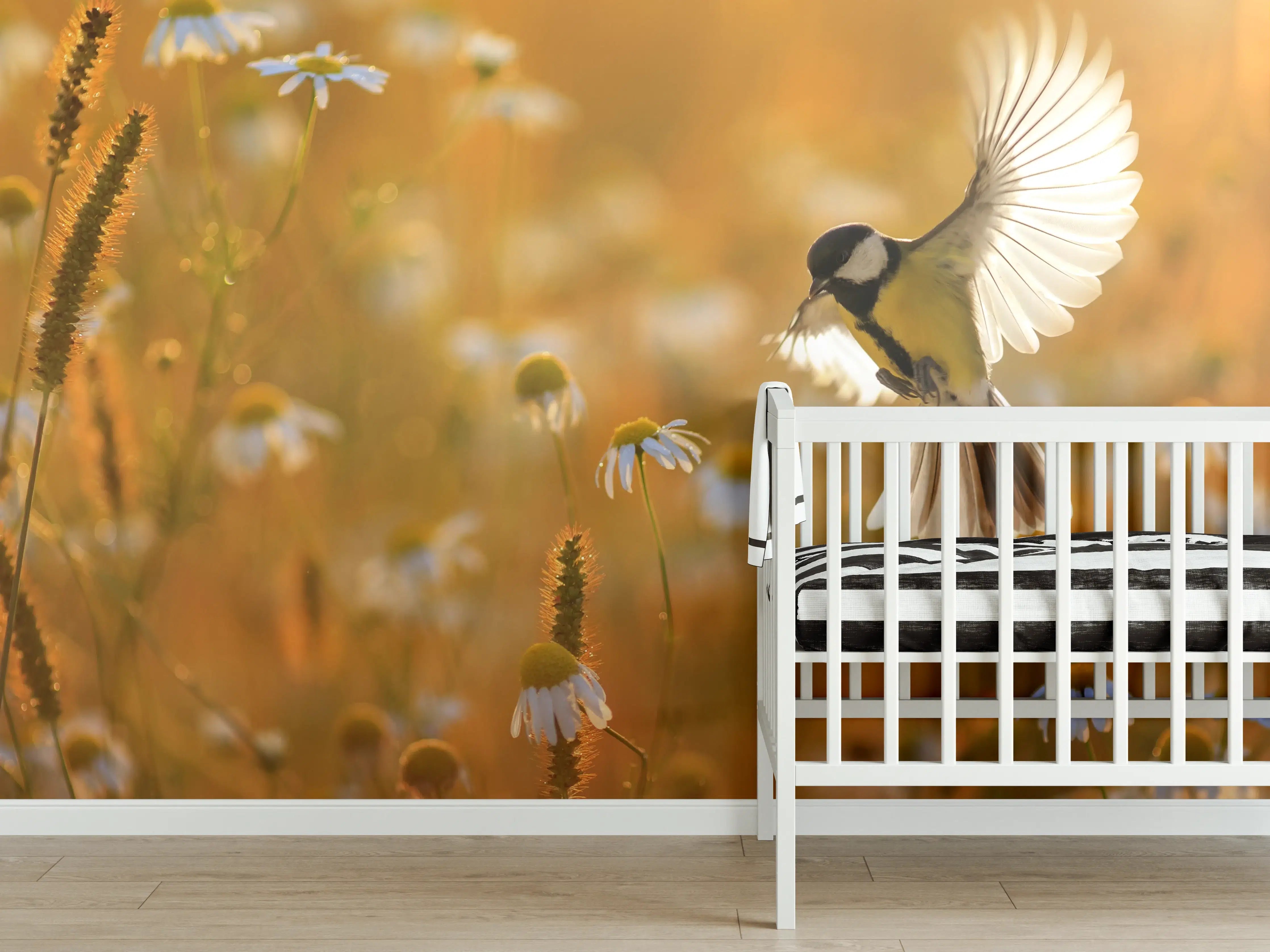 Babyzimmer Wandgestaltung - Grauer Vogel im Sonnenstrahl