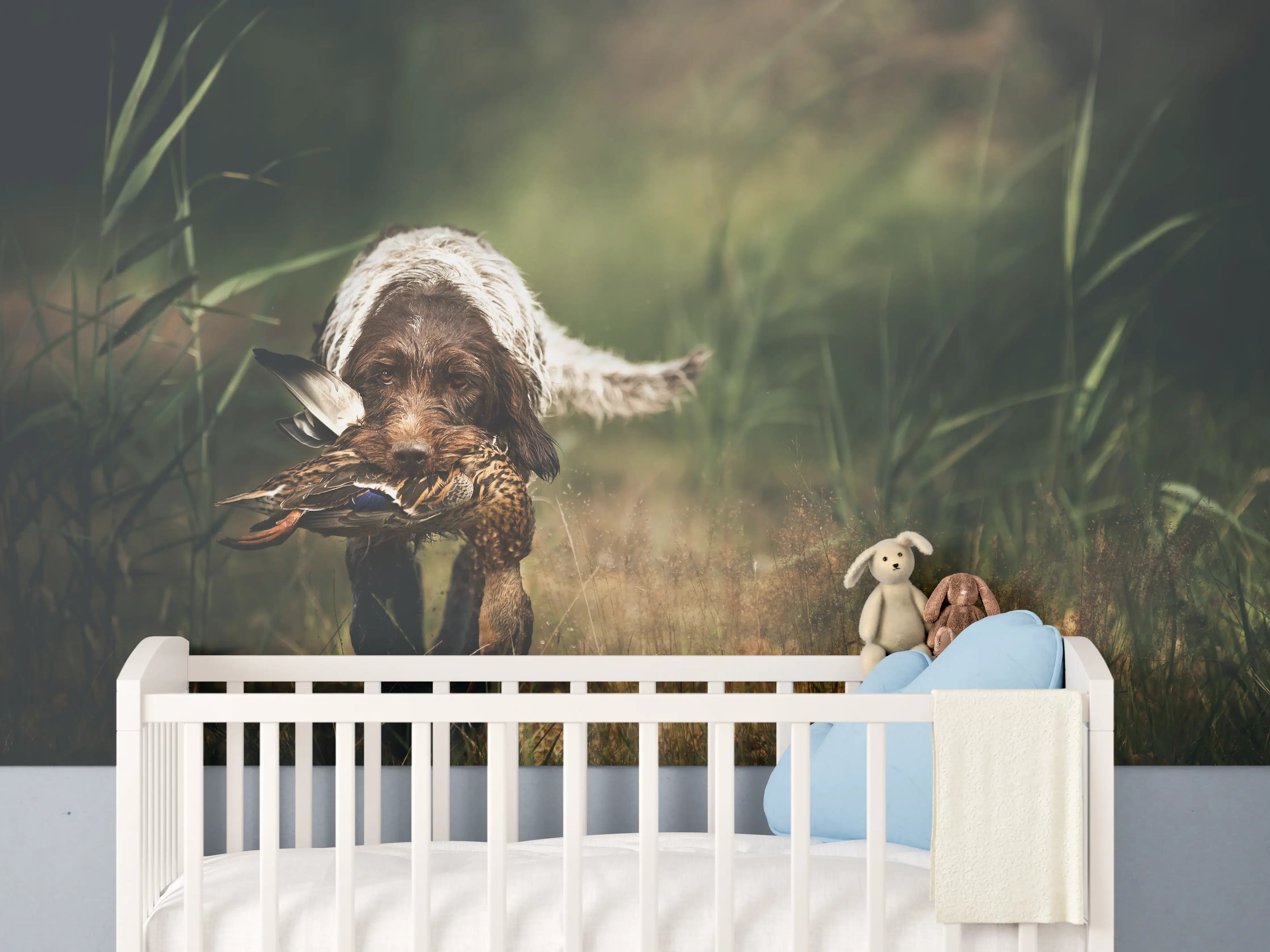 Babyzimmer Wandgestaltung - Griffon Korthals beim Apportieren einer Ente