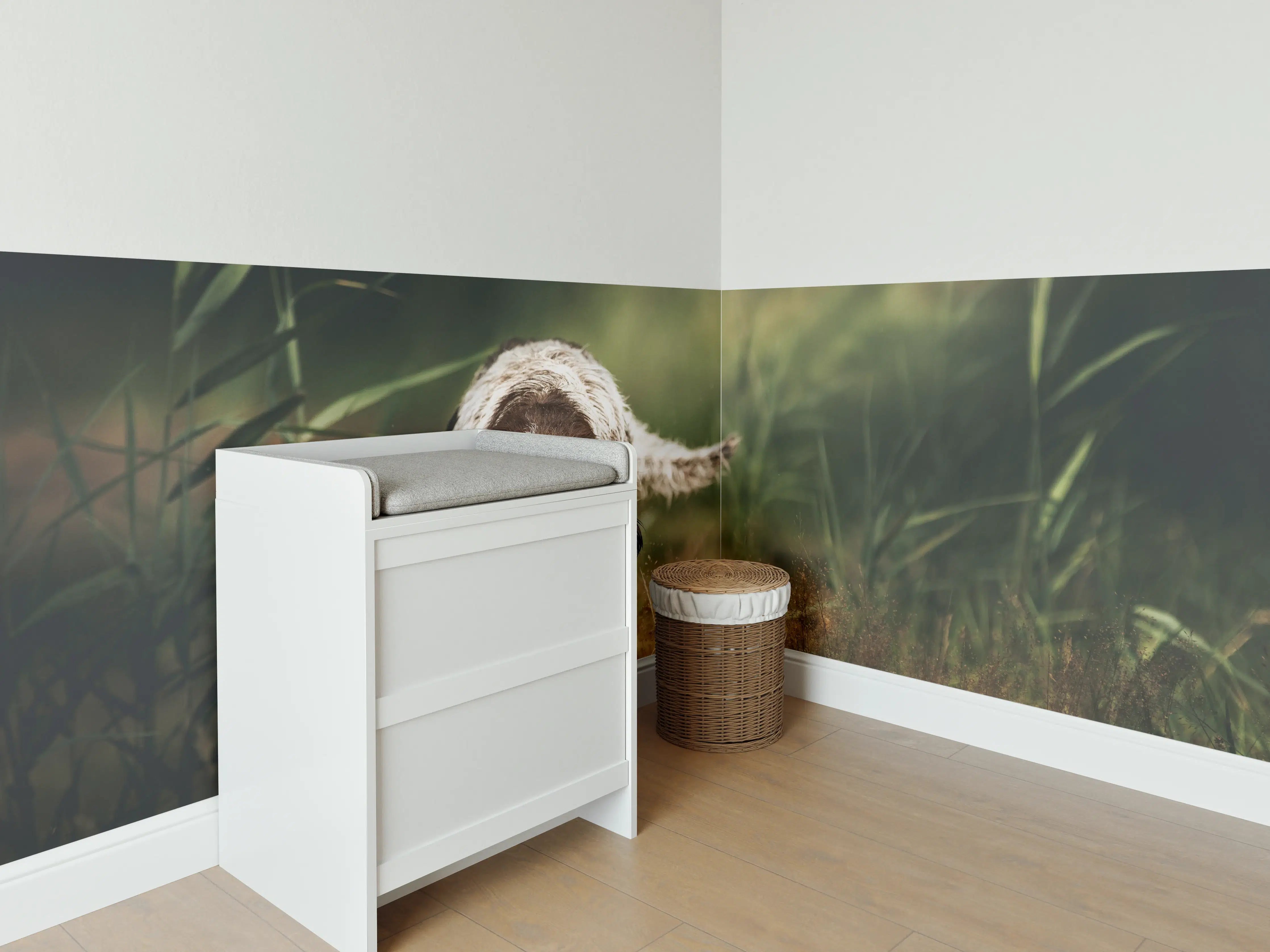 Babyzimmer Wandgestaltung - Griffon Korthals beim Apportieren einer Ente