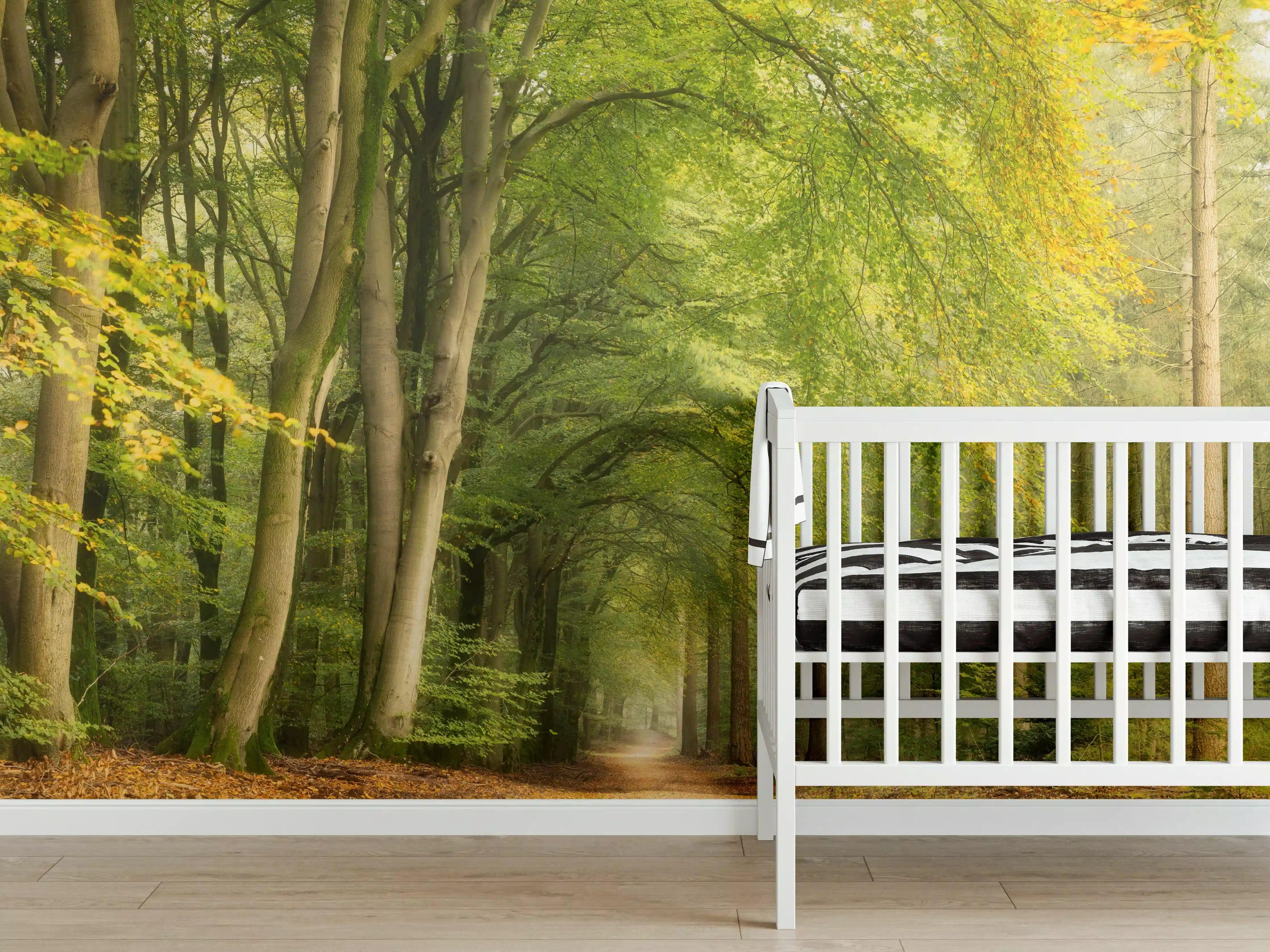 Babyzimmer Wandgestaltung - Grüner Waldweg im Sonnenlicht