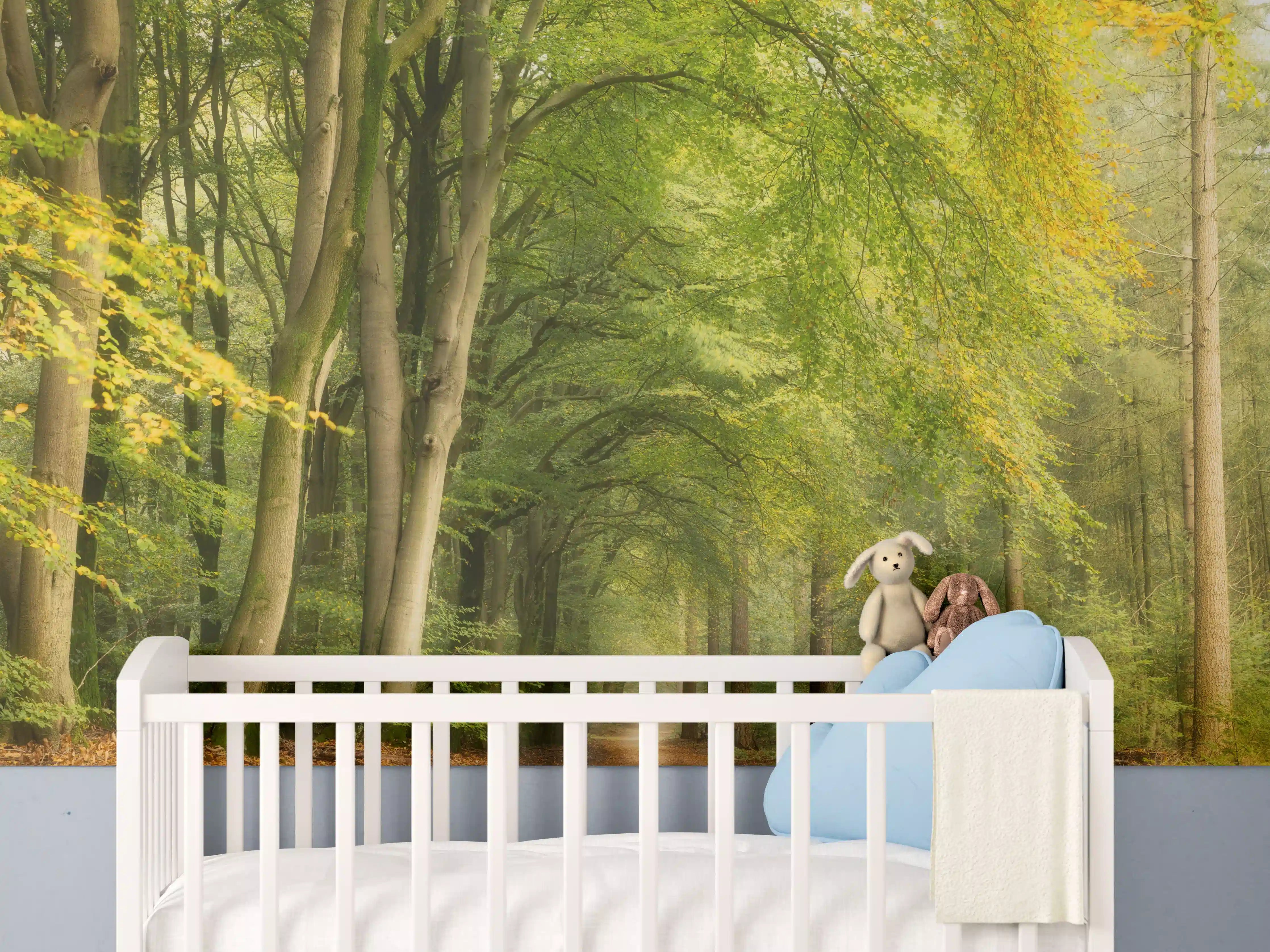 Babyzimmer Wandgestaltung - Grüner Waldweg im Sonnenlicht