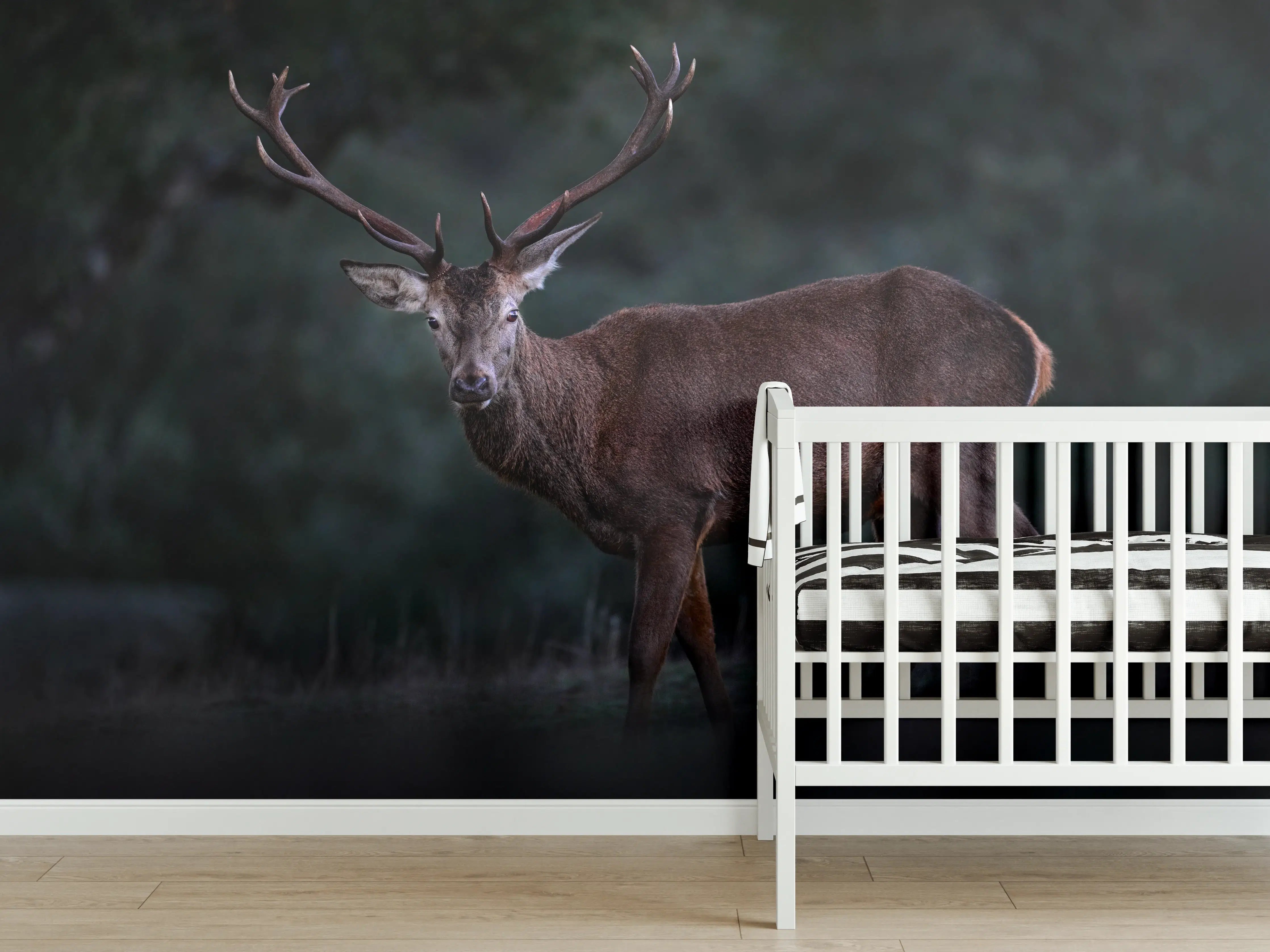 Babyzimmer Wandgestaltung - Hirsche Gebirge Sierra de Andujar