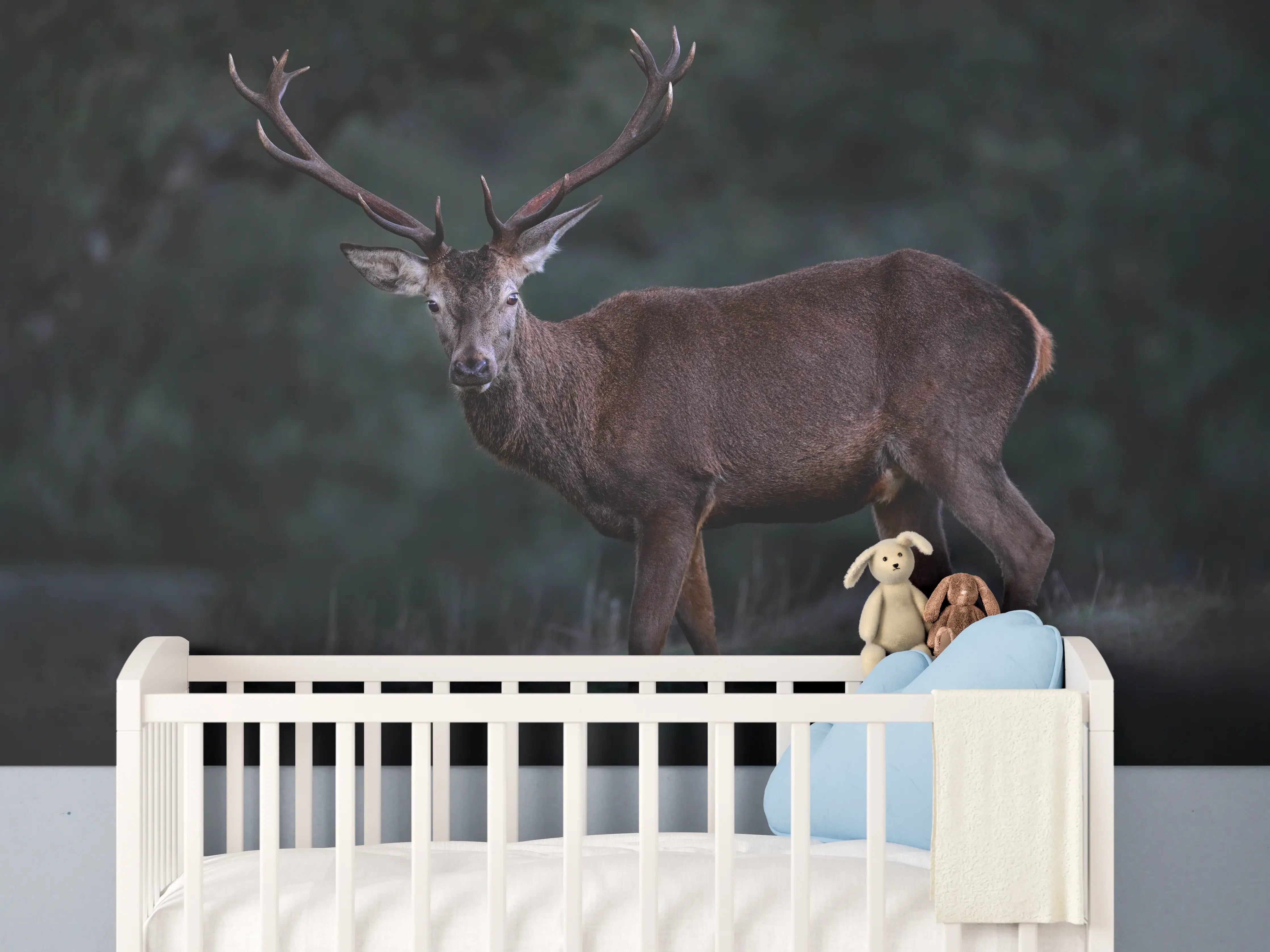 Babyzimmer Wandgestaltung - Hirsche Gebirge Sierra de Andujar