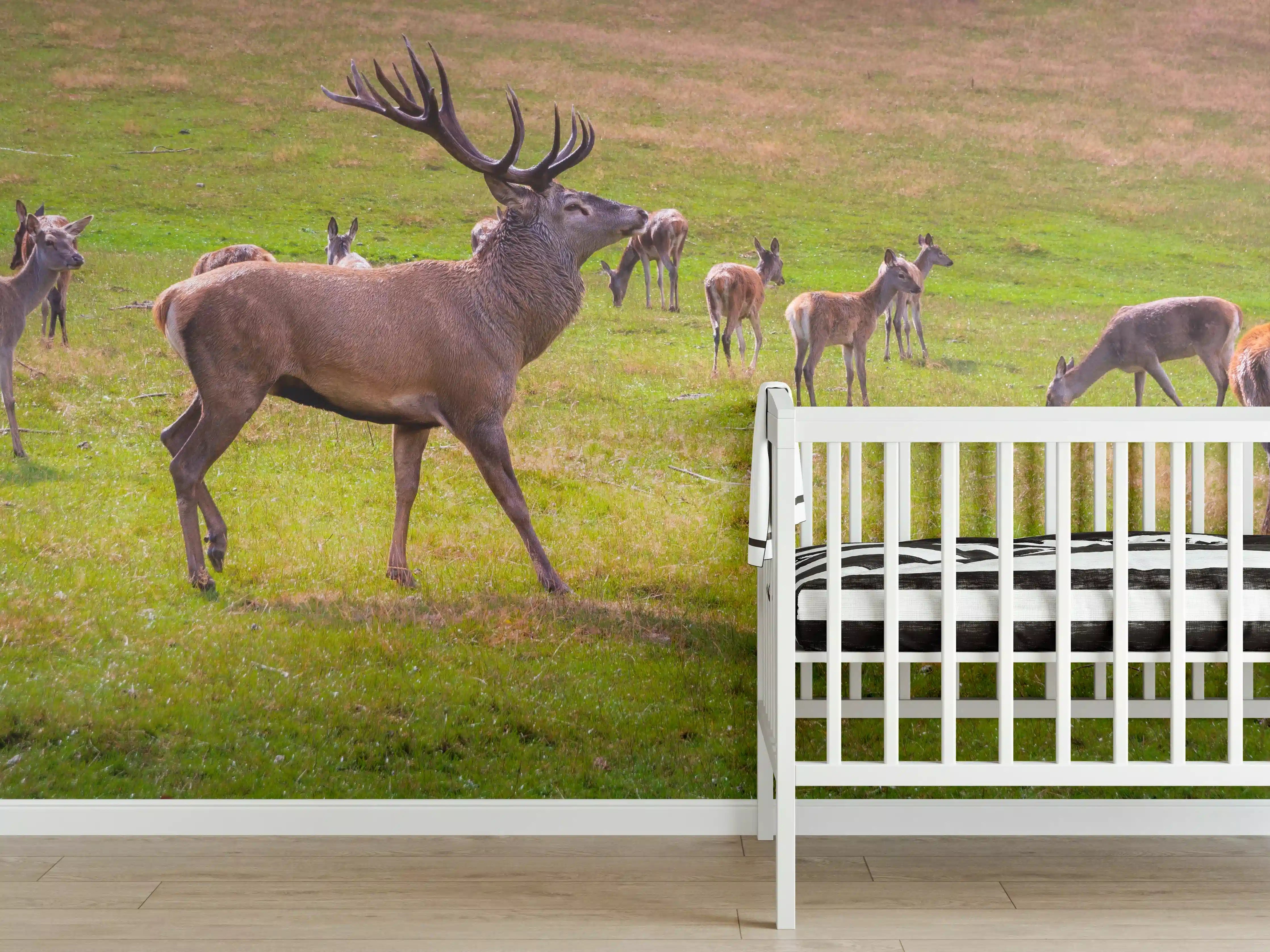 Babyzimmer Wandgestaltung - Hirschrudel auf grüner Wiese