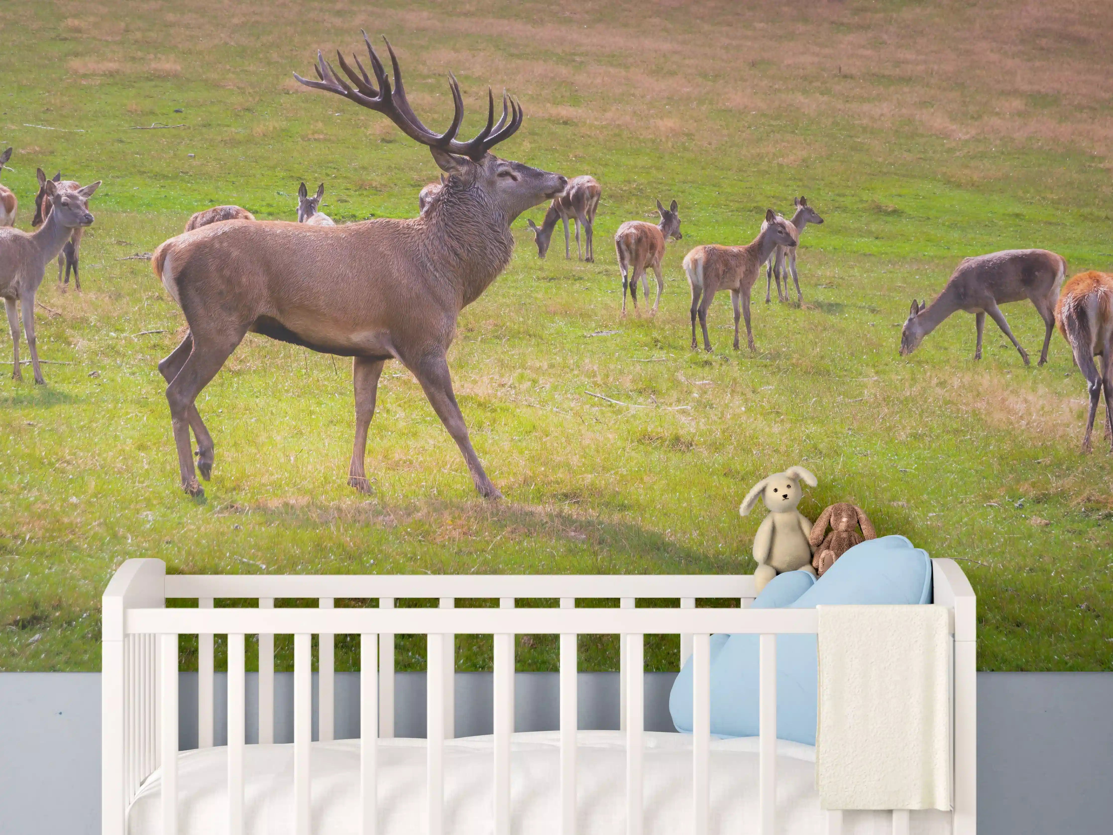 Babyzimmer Wandgestaltung - Hirschrudel auf grüner Wiese