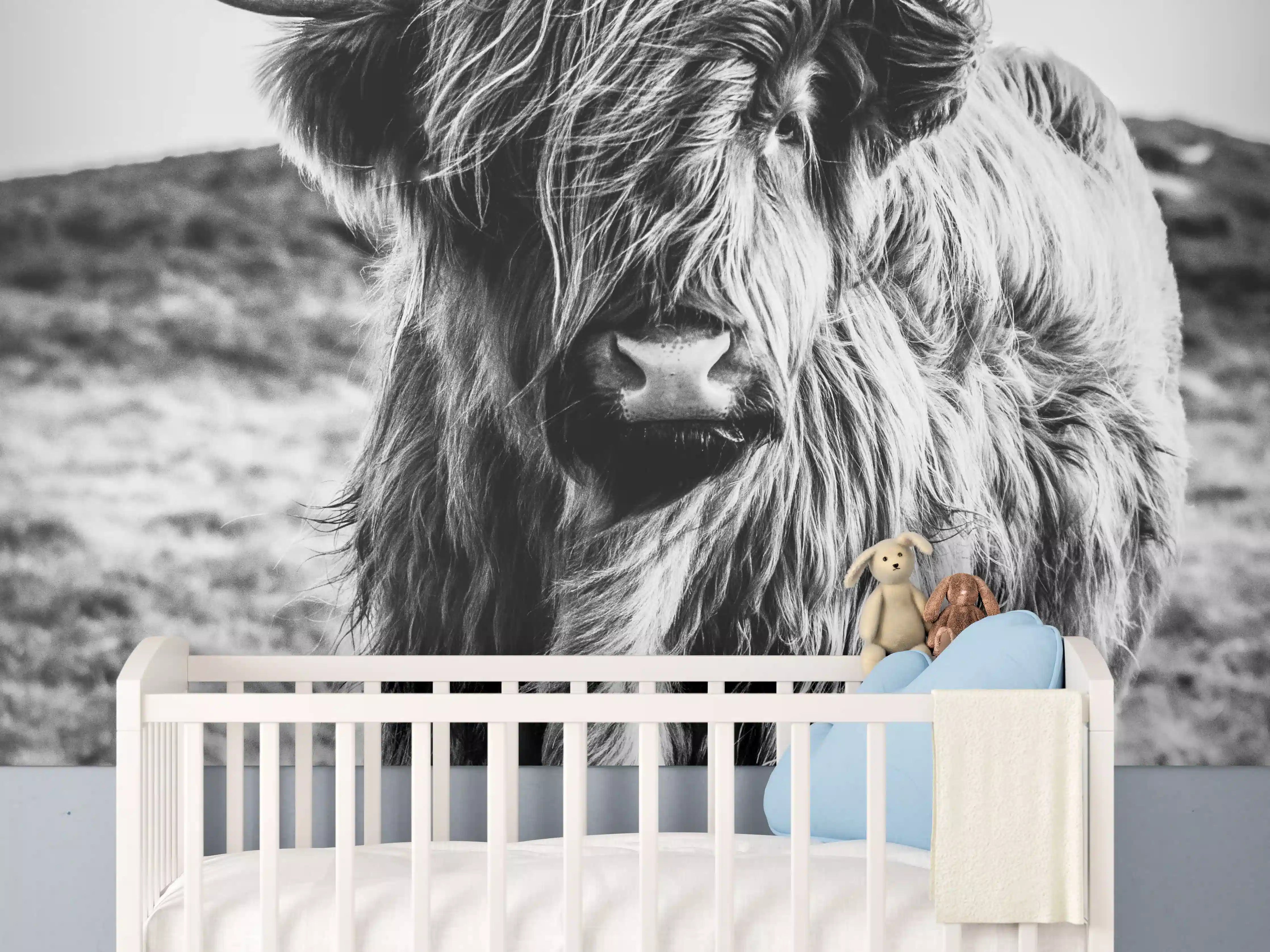 Babyzimmer Wandgestaltung - Hochlandkuh in Schwarz-weiß