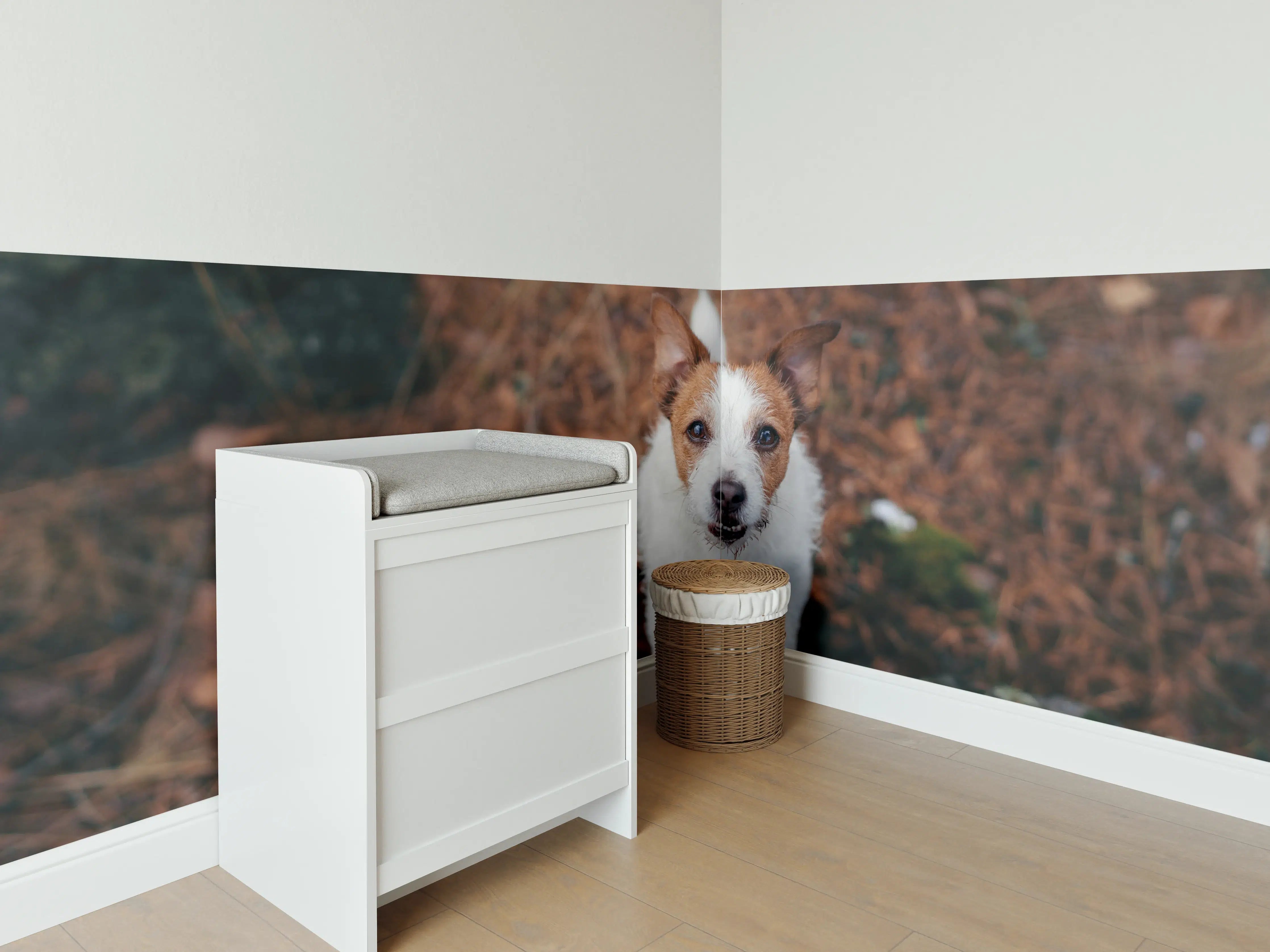 Babyzimmer Wandgestaltung - Jack Russell im herbstlichen Park