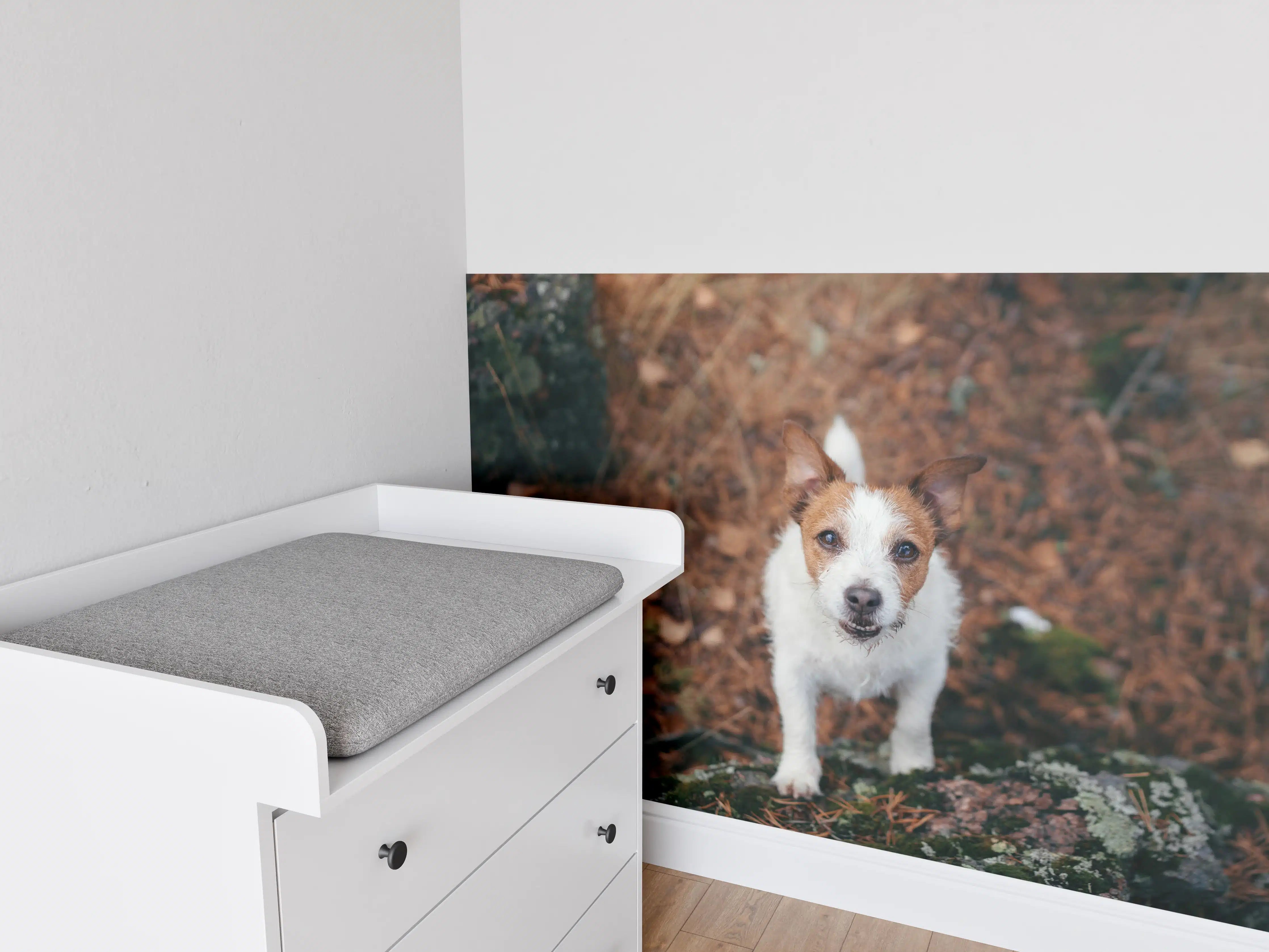 Babyzimmer Wandgestaltung - Jack Russell im herbstlichen Park