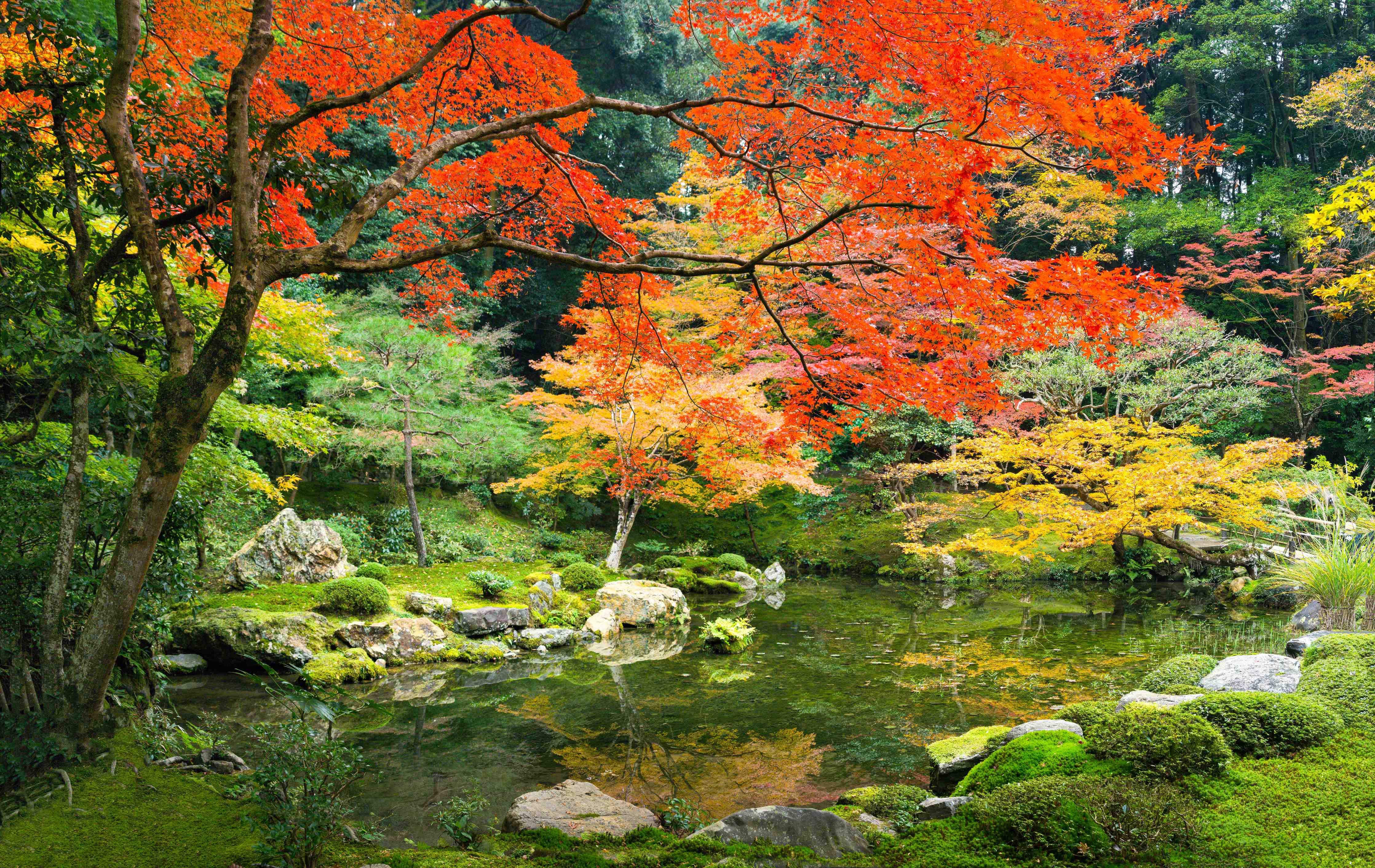 Babyzimmer Wandgestaltung-Japanischer Garten im Herbst