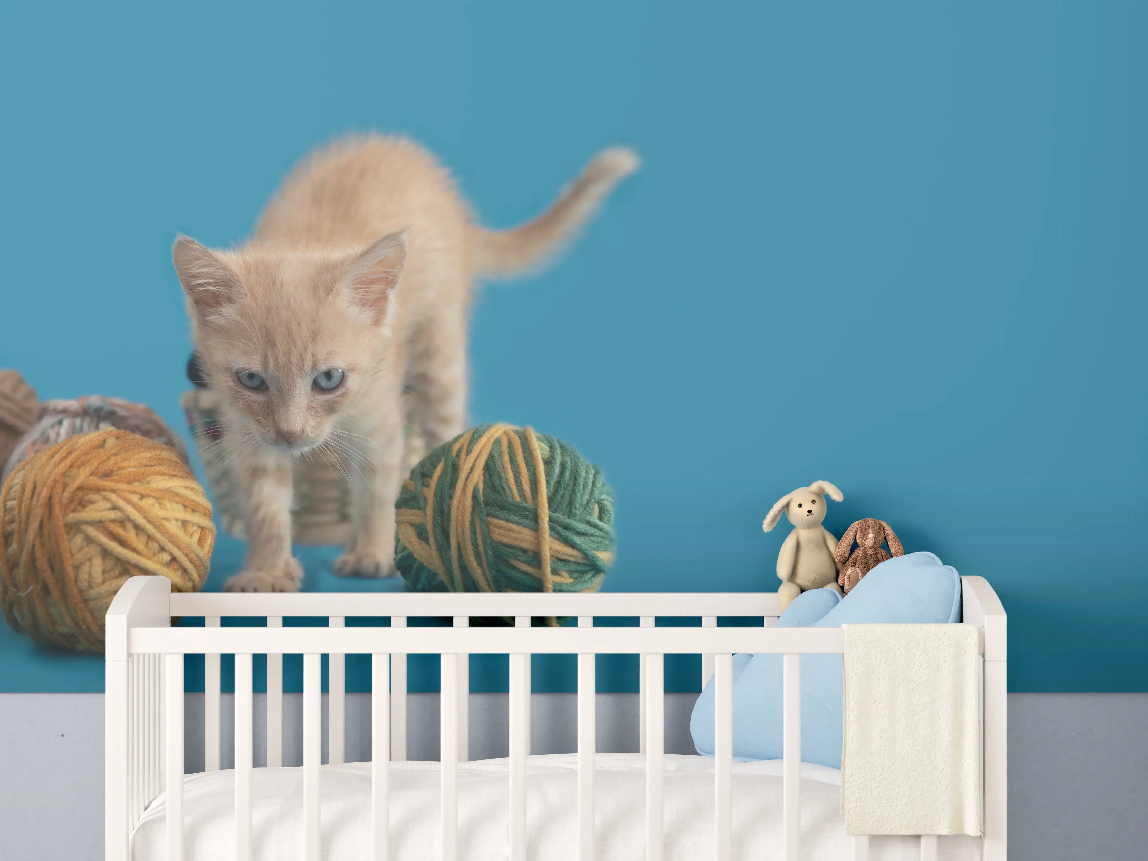 Babyzimmer Wandgestaltung - Katzenbaby spielt mit Wollknollen