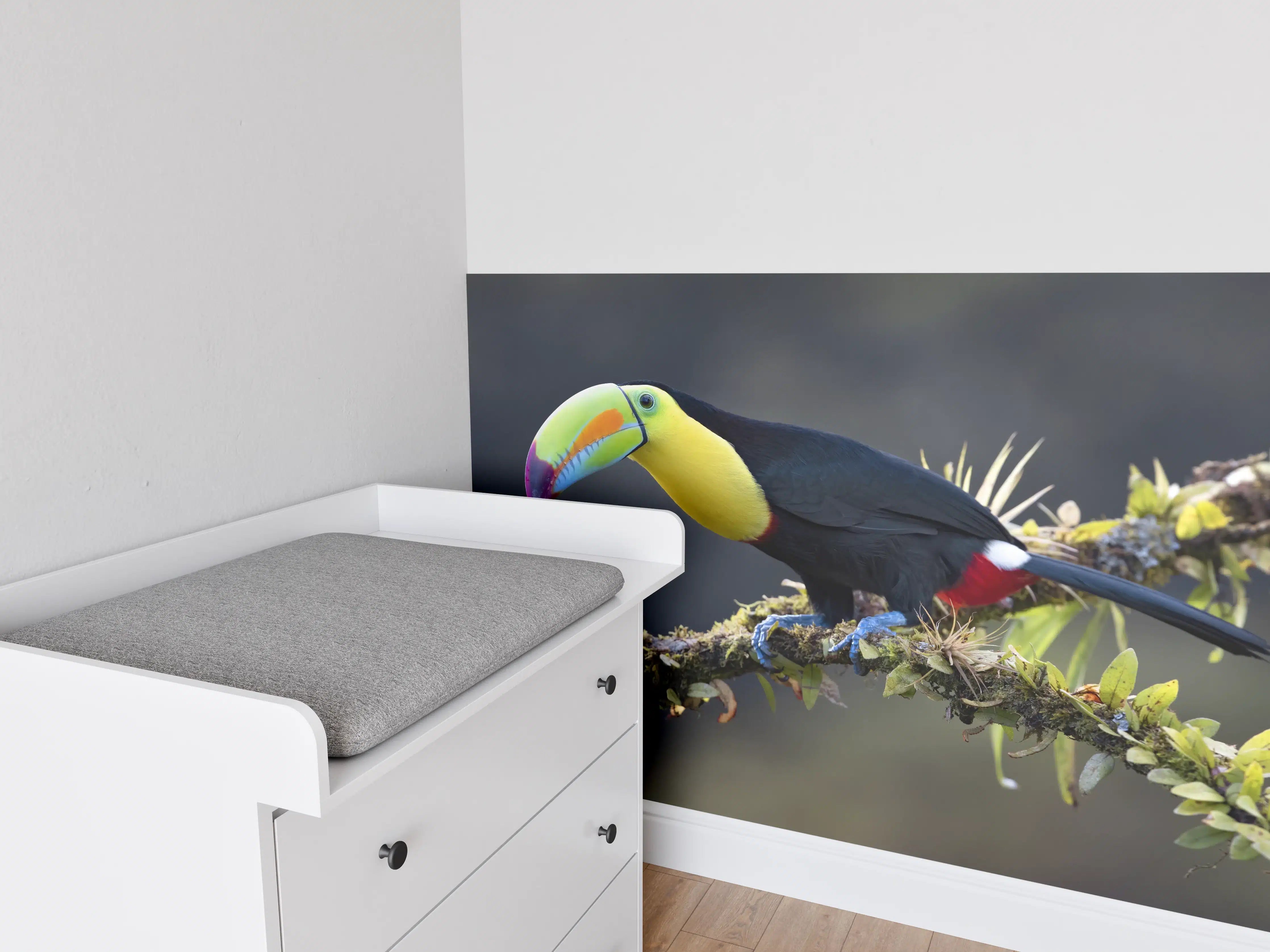 Babyzimmer Wandgestaltung - Kielschnabeltukan auf Ast
