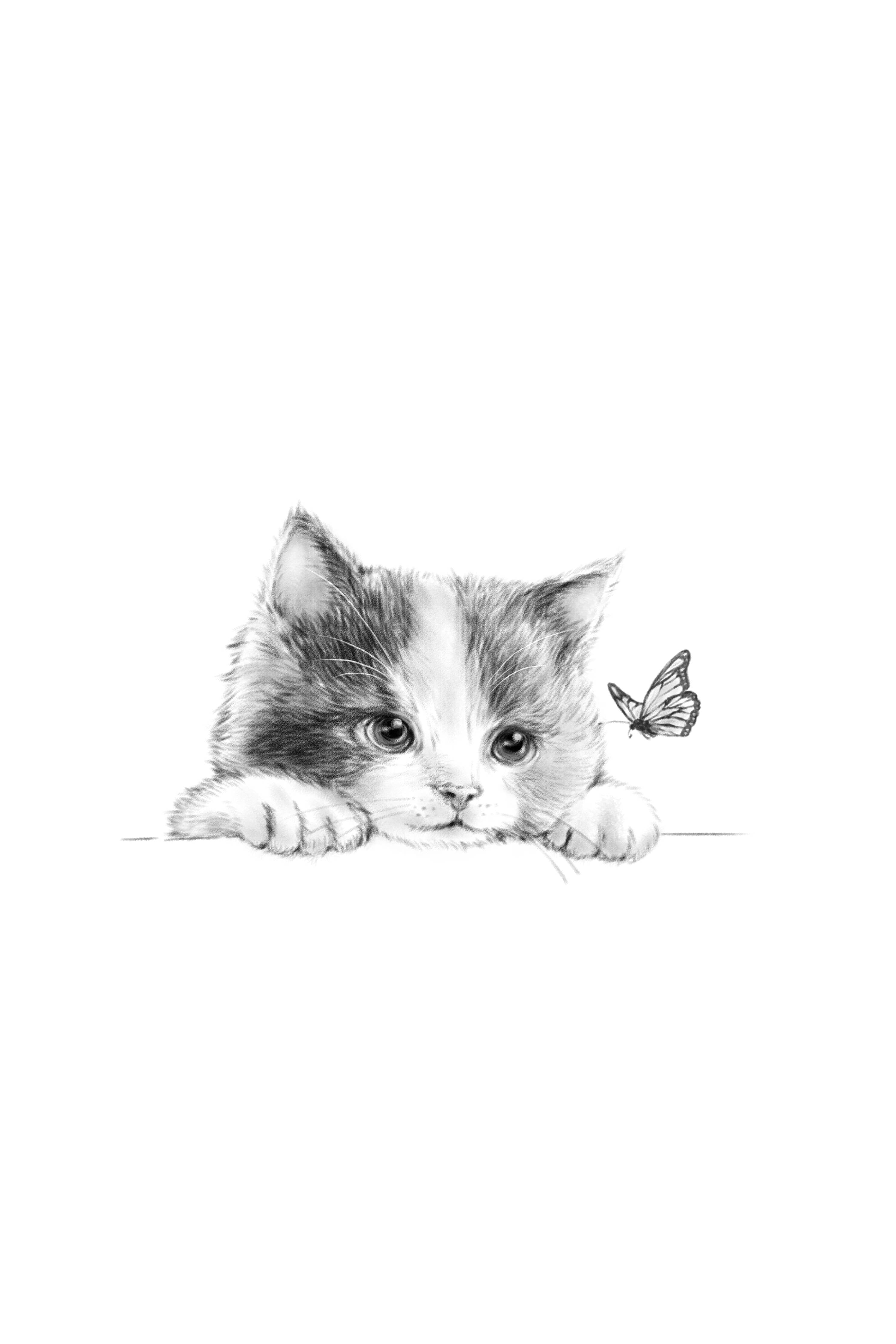 Babyzimmer Wandgestaltung-Kindermotiv einer Katze - schwarz-weiß