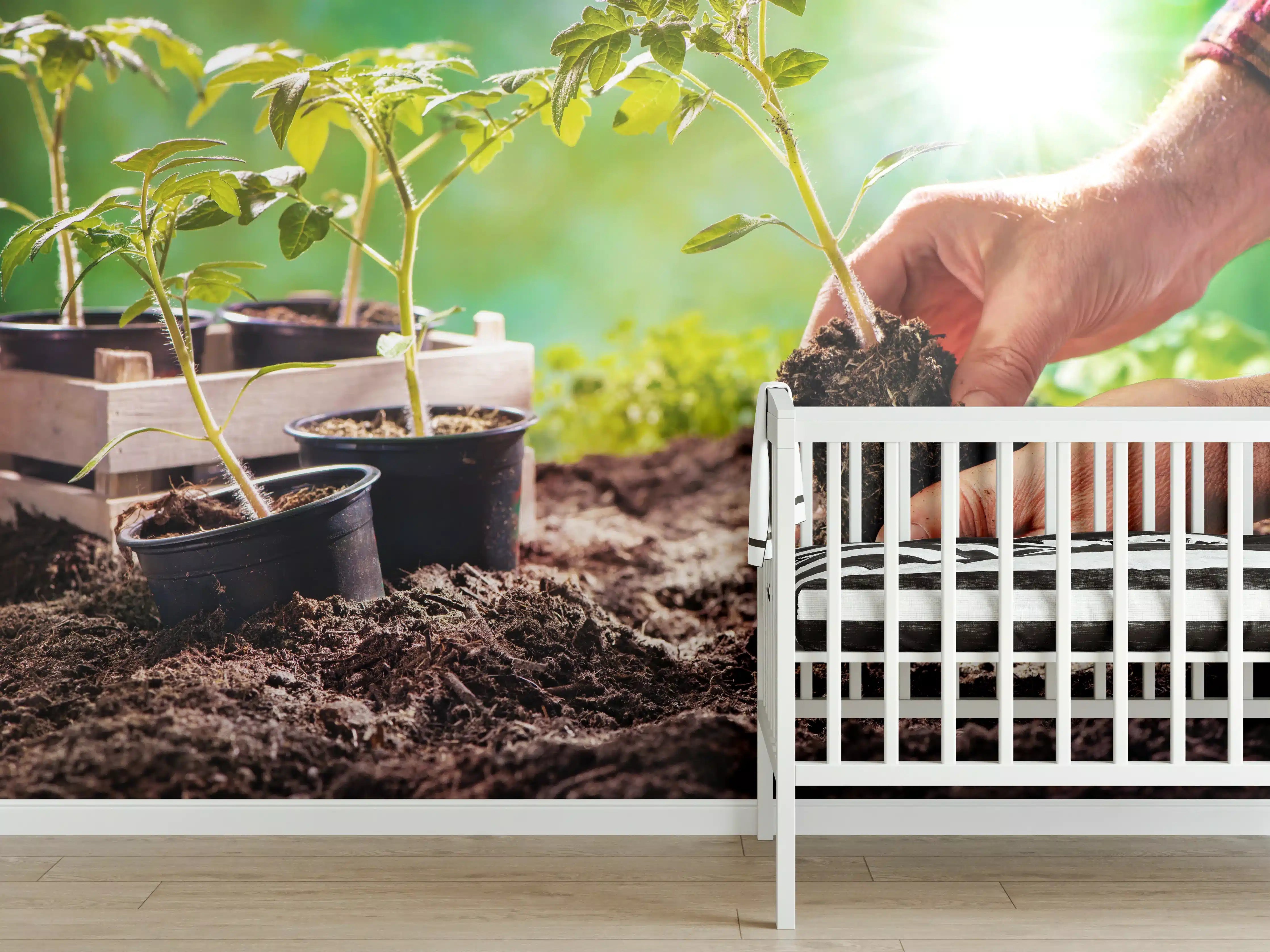 Babyzimmer Wandgestaltung - Landwirt pflanzt Tomatensetzlinge