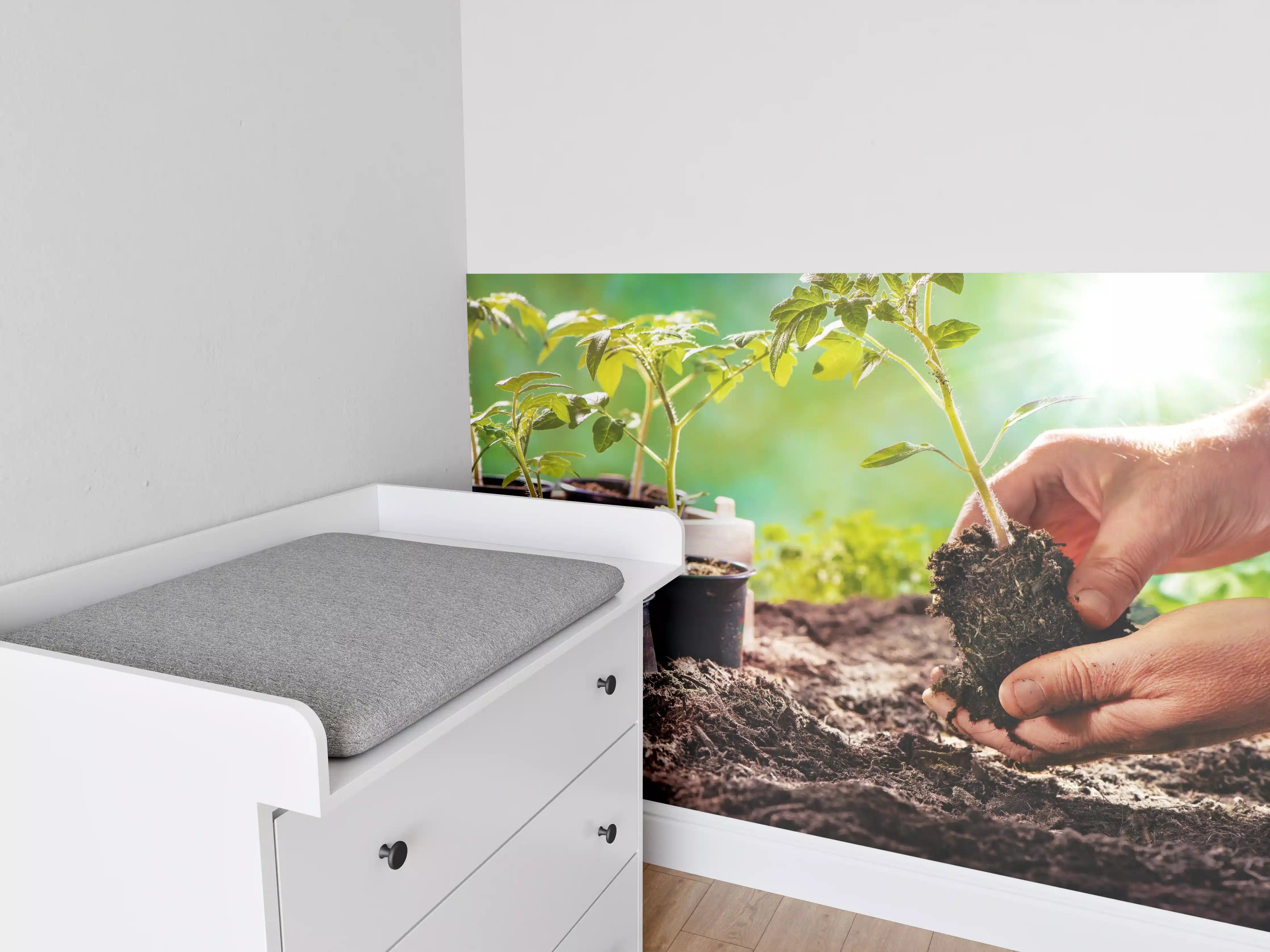 Babyzimmer Wandgestaltung - Landwirt pflanzt Tomatensetzlinge