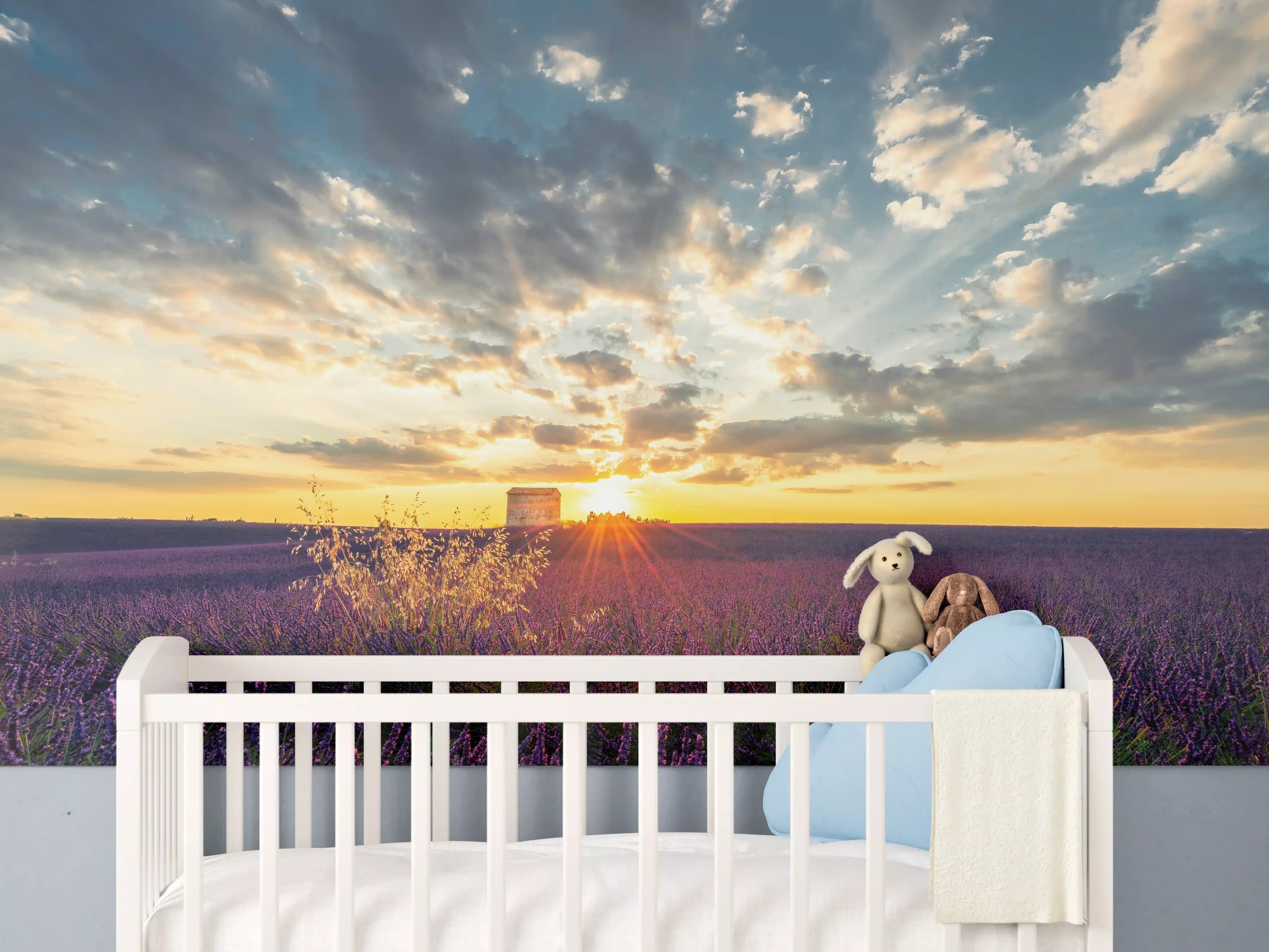 Babyzimmer Wandgestaltung - Lavendel Feld im Sommer in der Provence