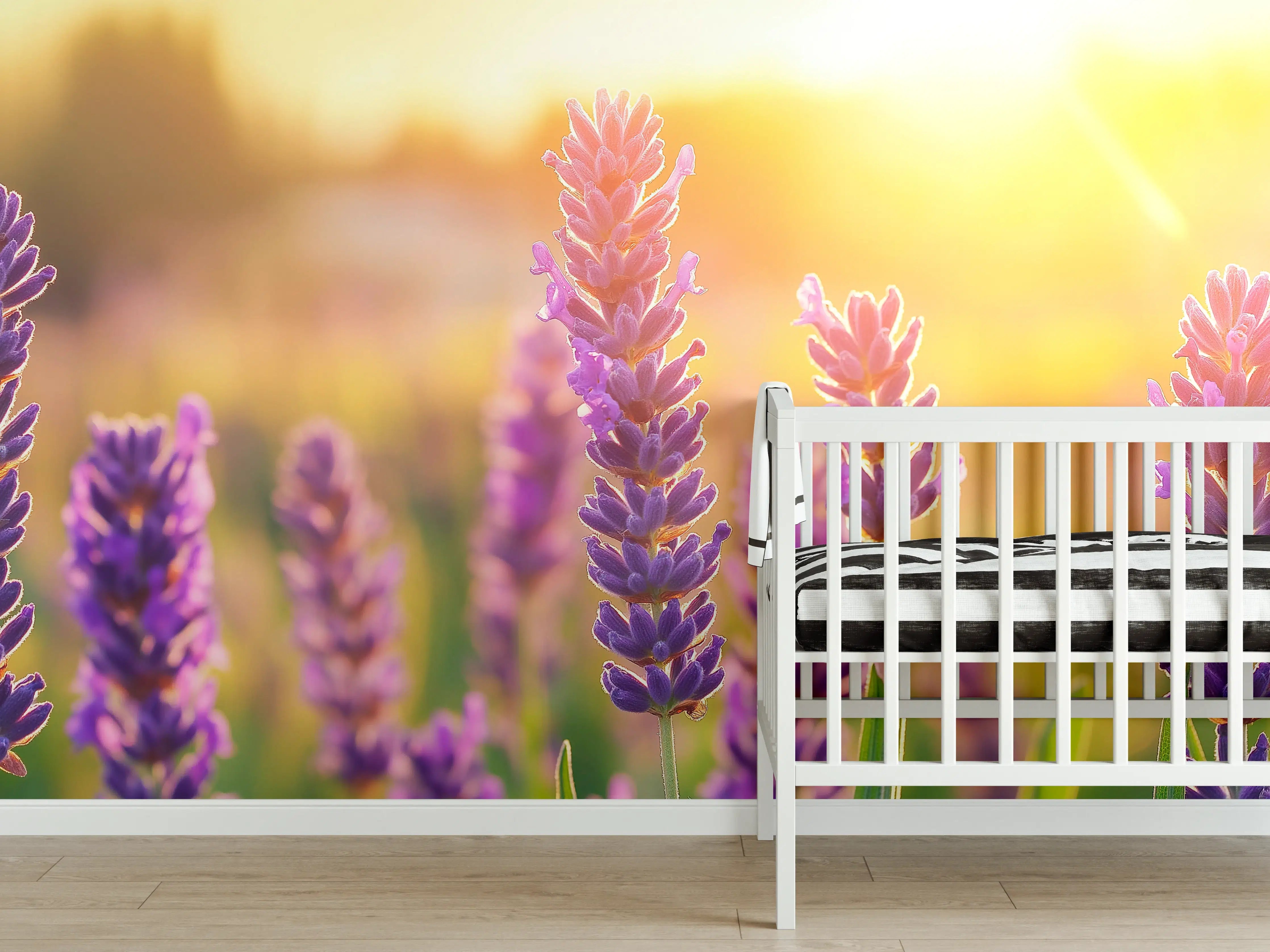 Babyzimmer Wandgestaltung - Lavendel in goldenem Abendlicht