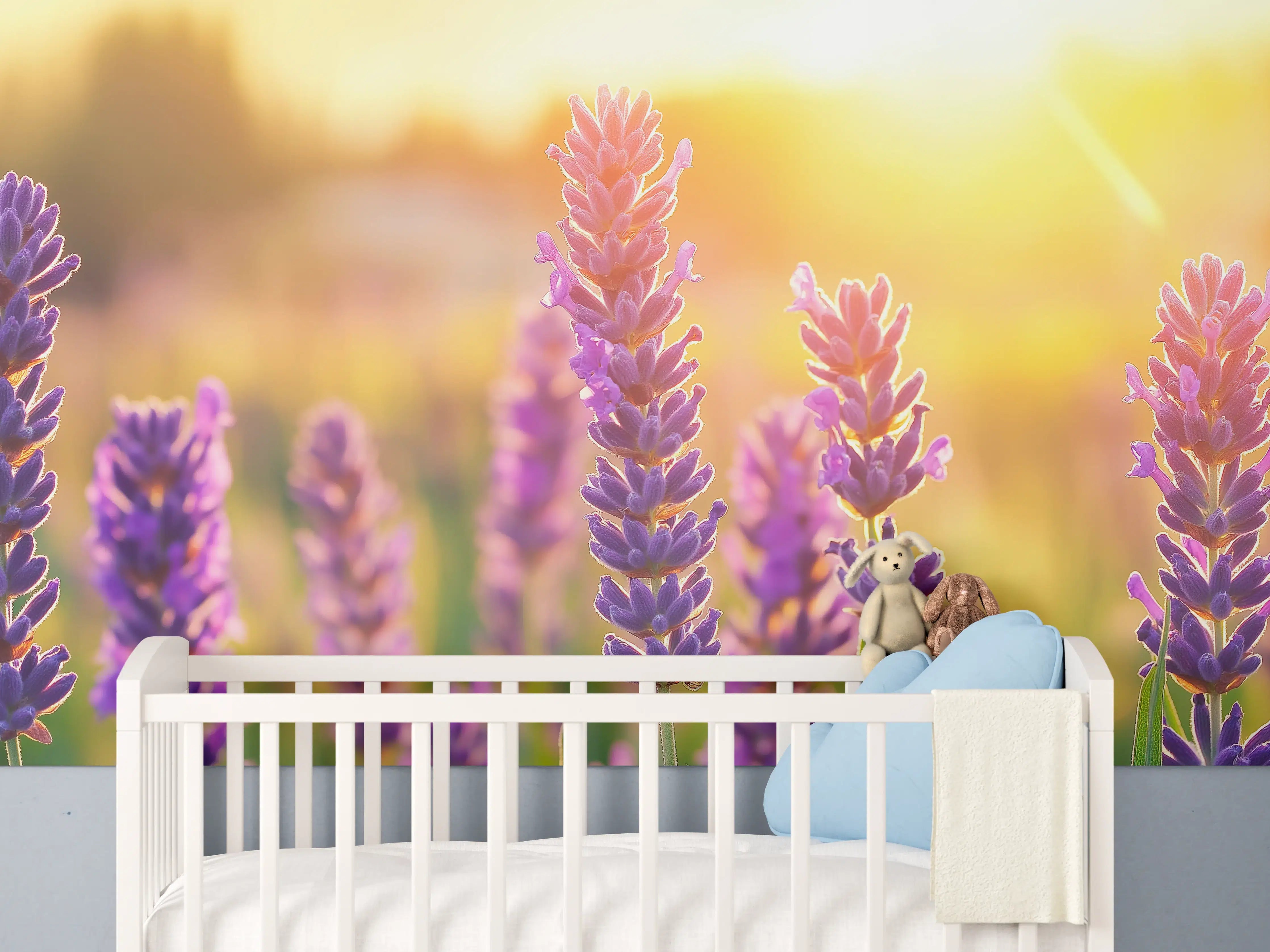 Babyzimmer Wandgestaltung - Lavendel in goldenem Abendlicht