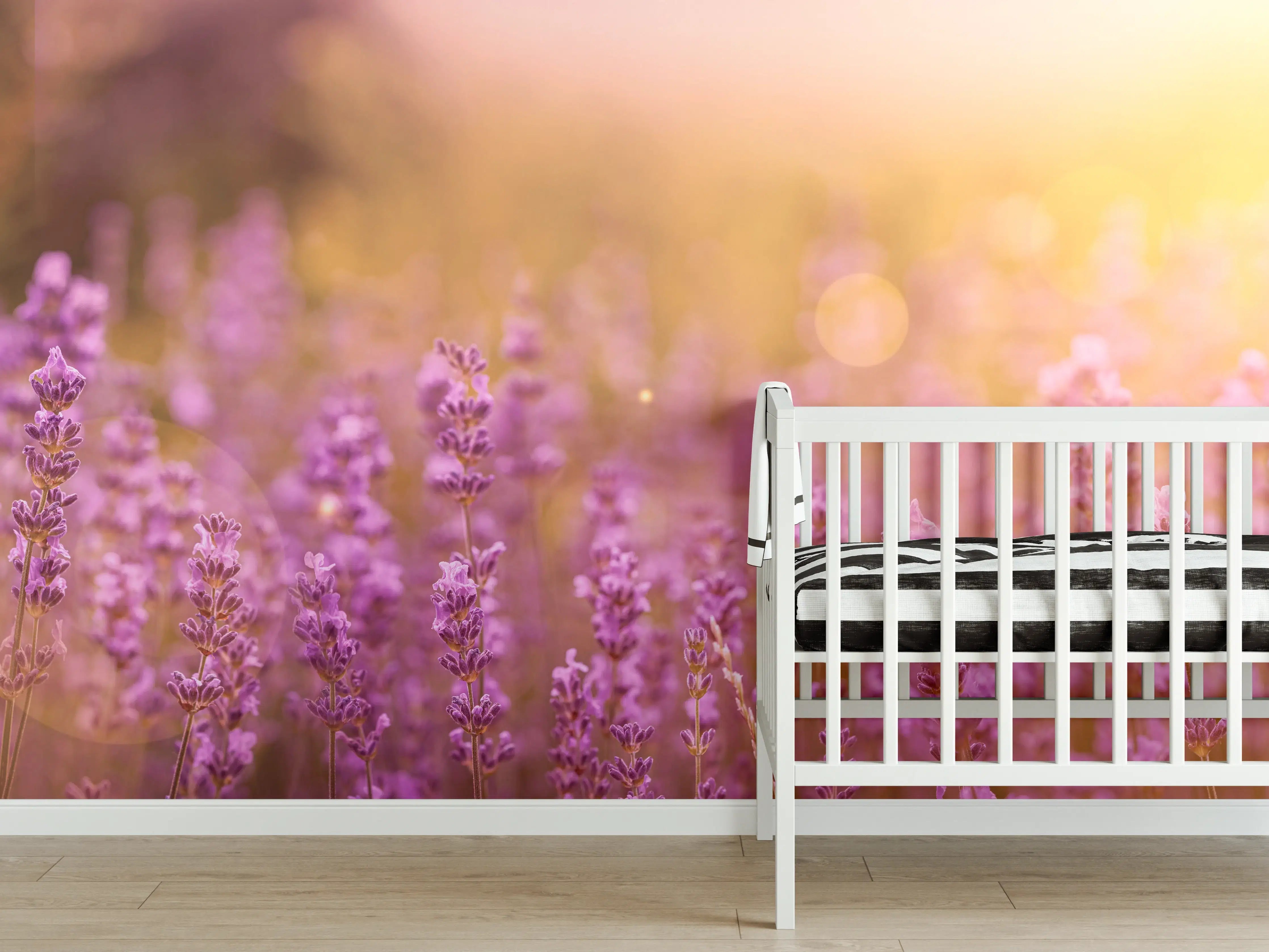 Babyzimmer Wandgestaltung - Lavendelfeld im warmen Abendlicht