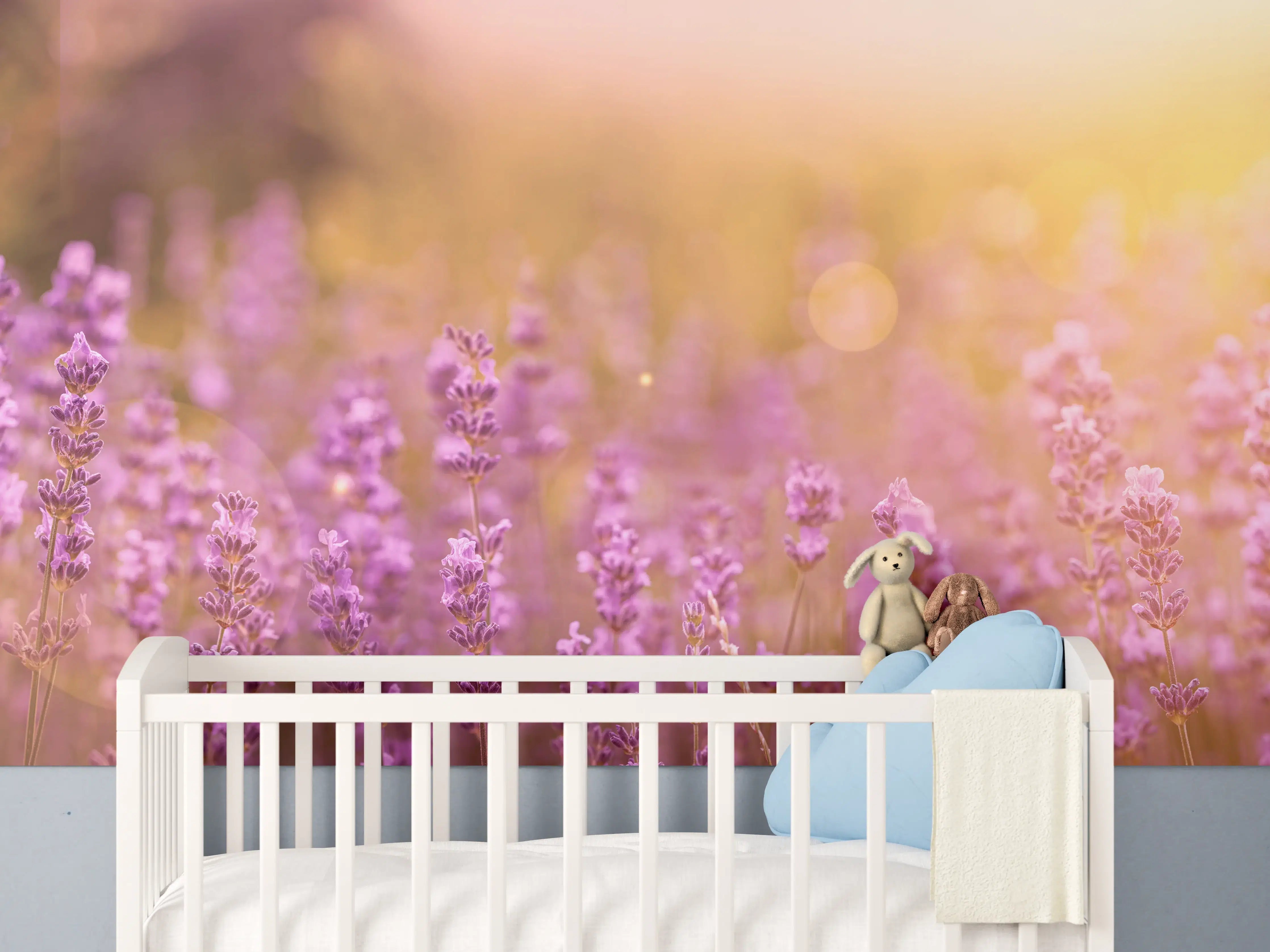 Babyzimmer Wandgestaltung - Lavendelfeld im warmen Abendlicht