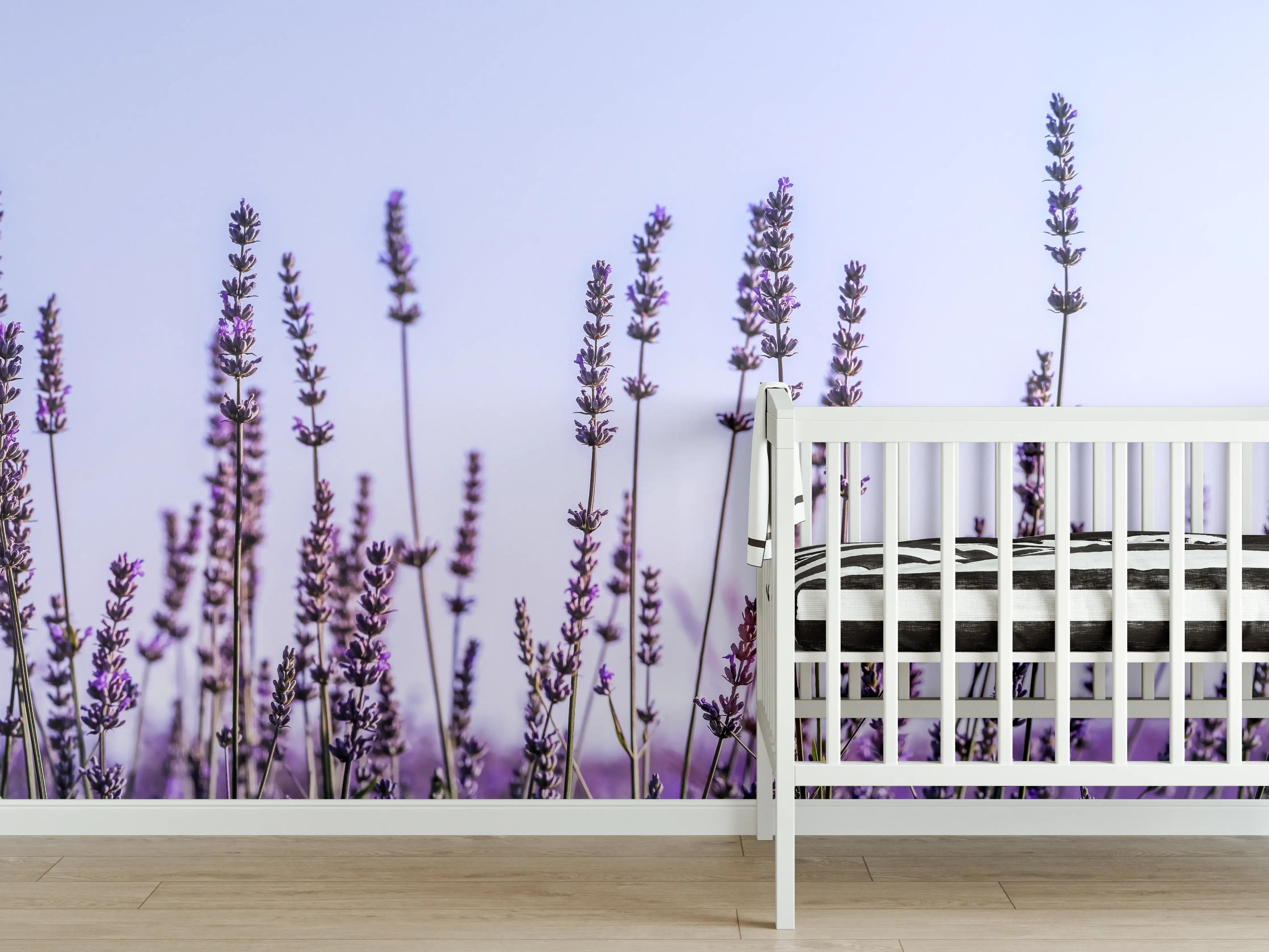 Babyzimmer Wandgestaltung - Lavendelfeld in Lila-Blau