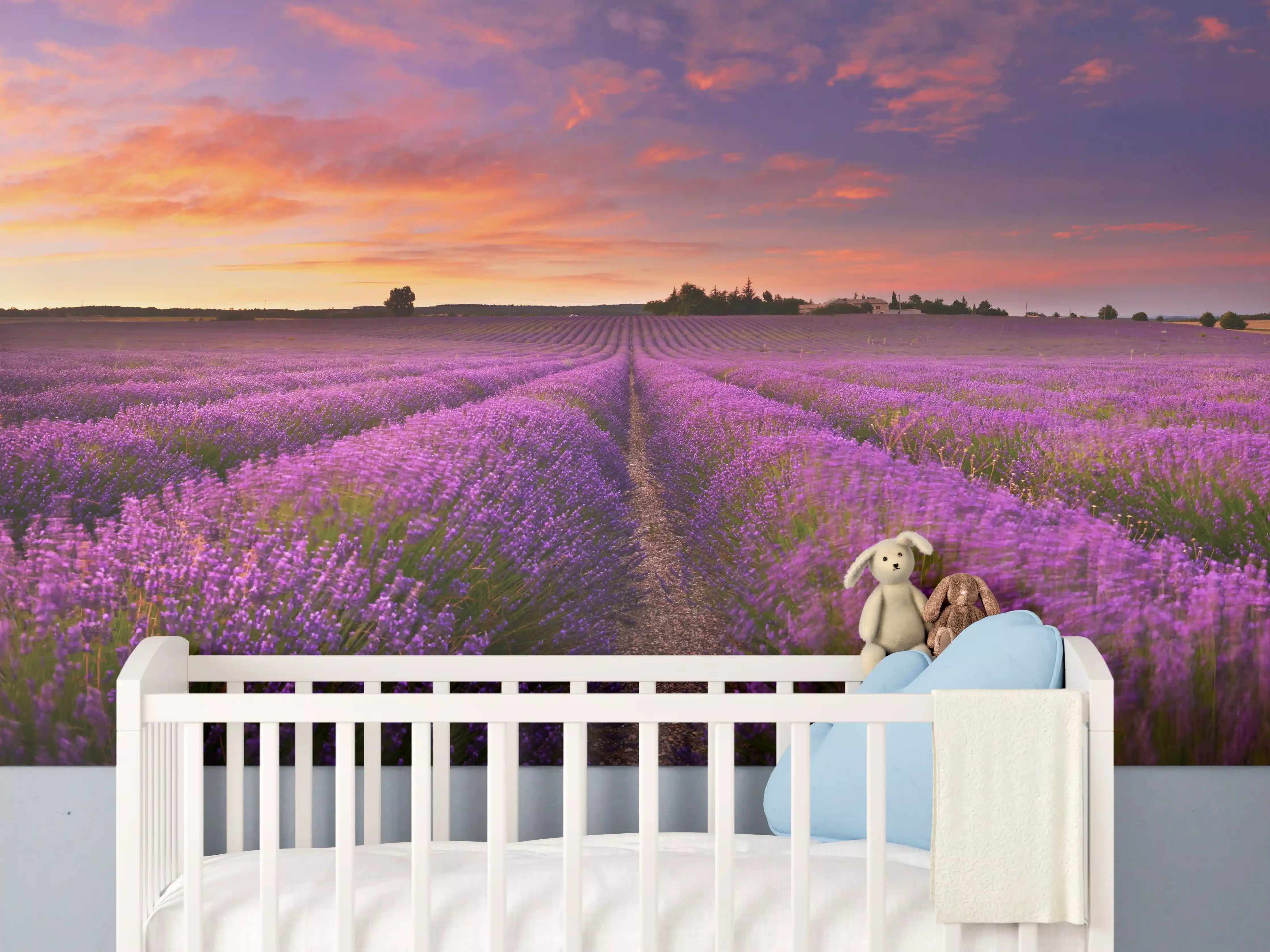 Babyzimmer Wandgestaltung - Lavendelfeld in der Morgendämmerung