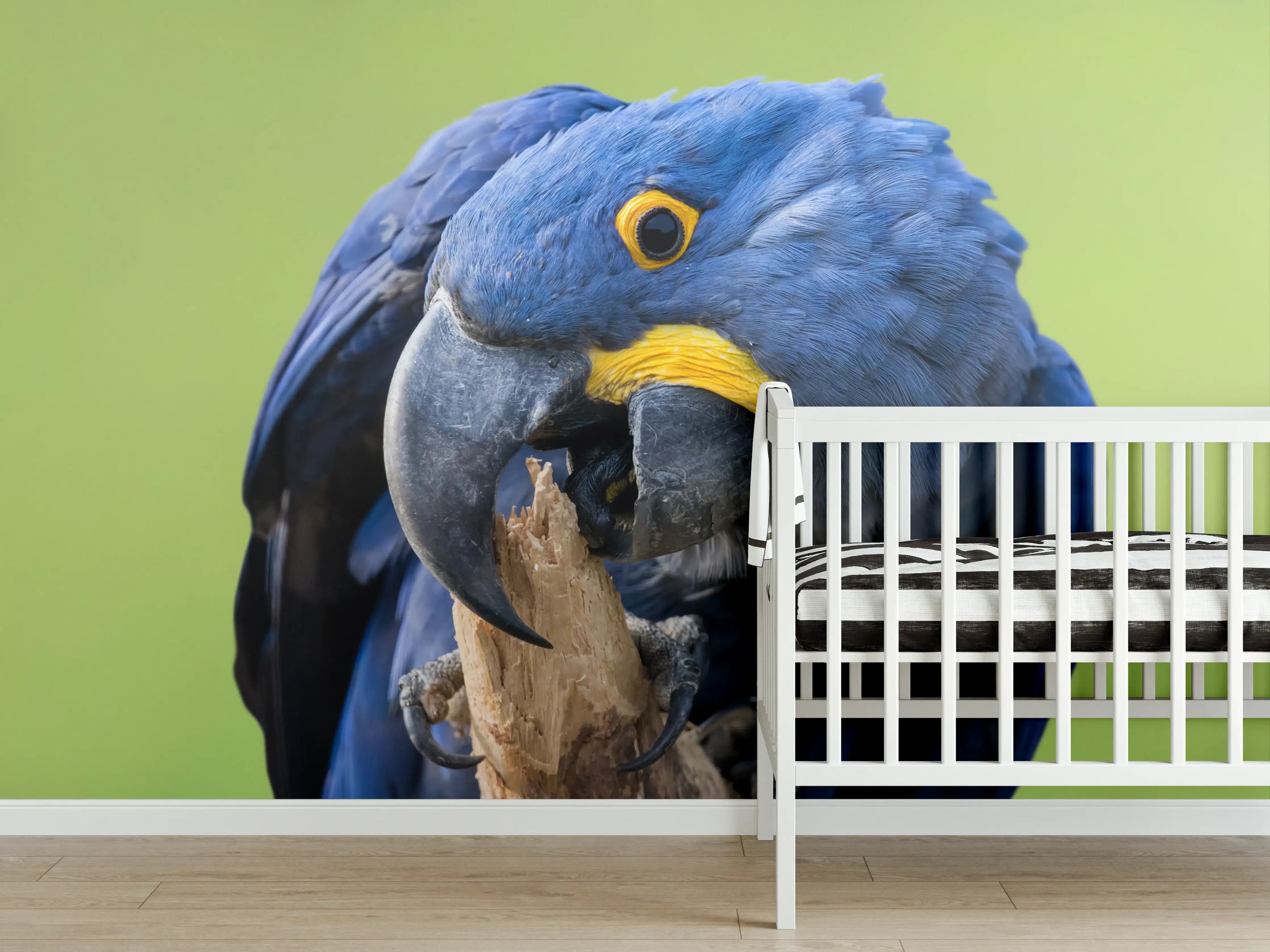 Babyzimmer Wandgestaltung - Lebendige Papageien in natürlicher Umgebung