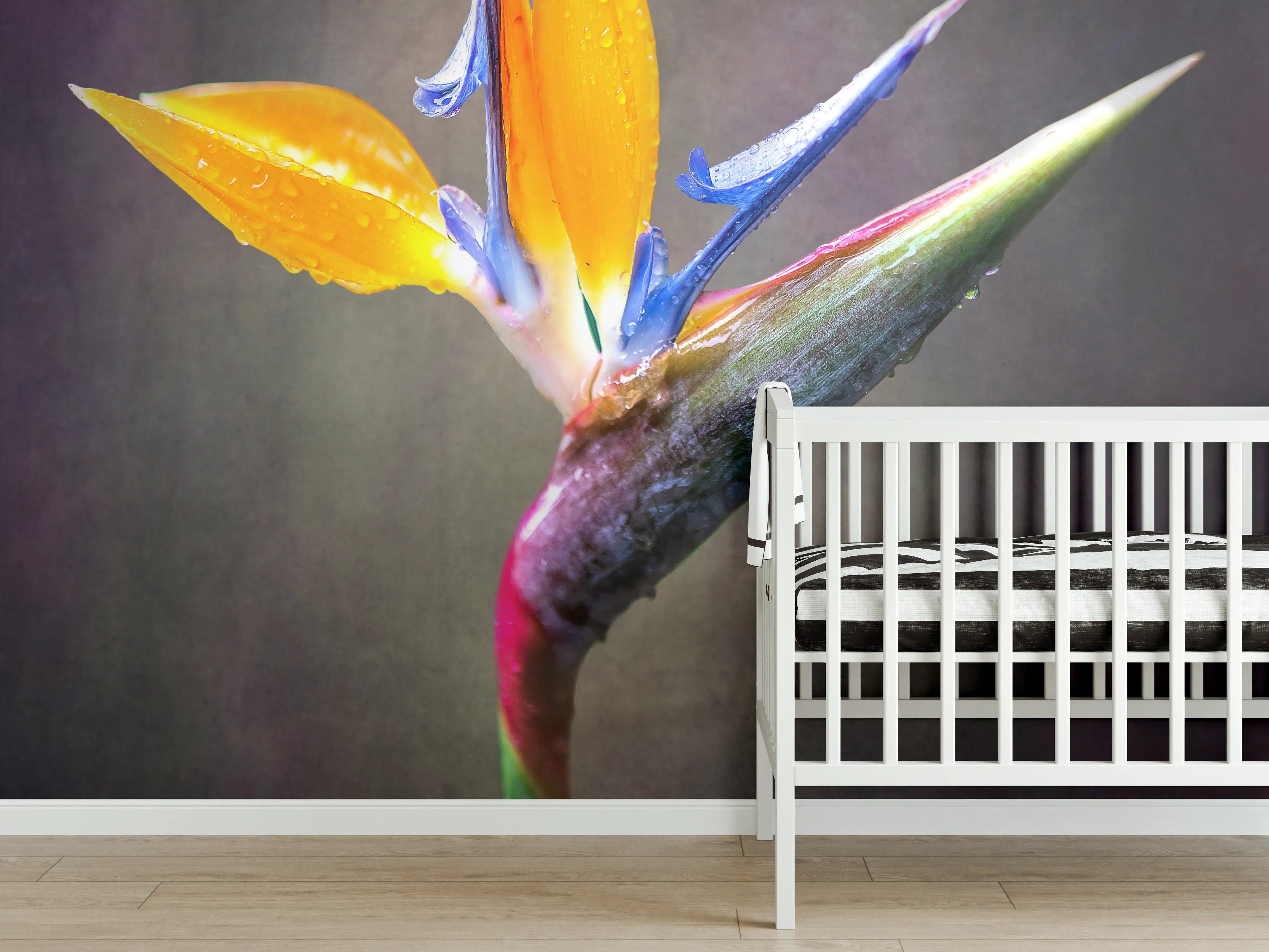 Babyzimmer Wandgestaltung - Lebendige Vogelblume in Nahaufnahme