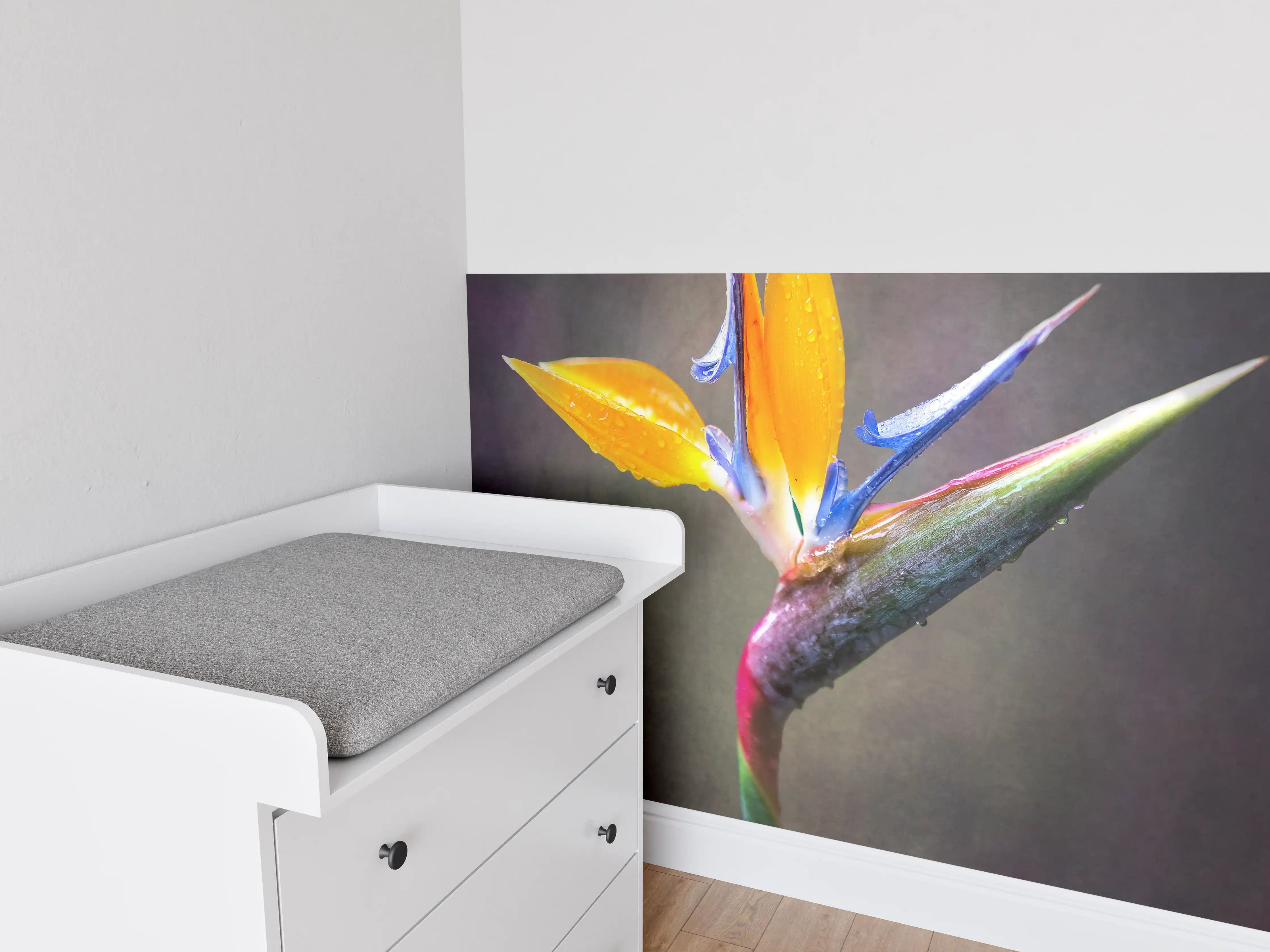 Babyzimmer Wandgestaltung - Lebendige Vogelblume in Nahaufnahme