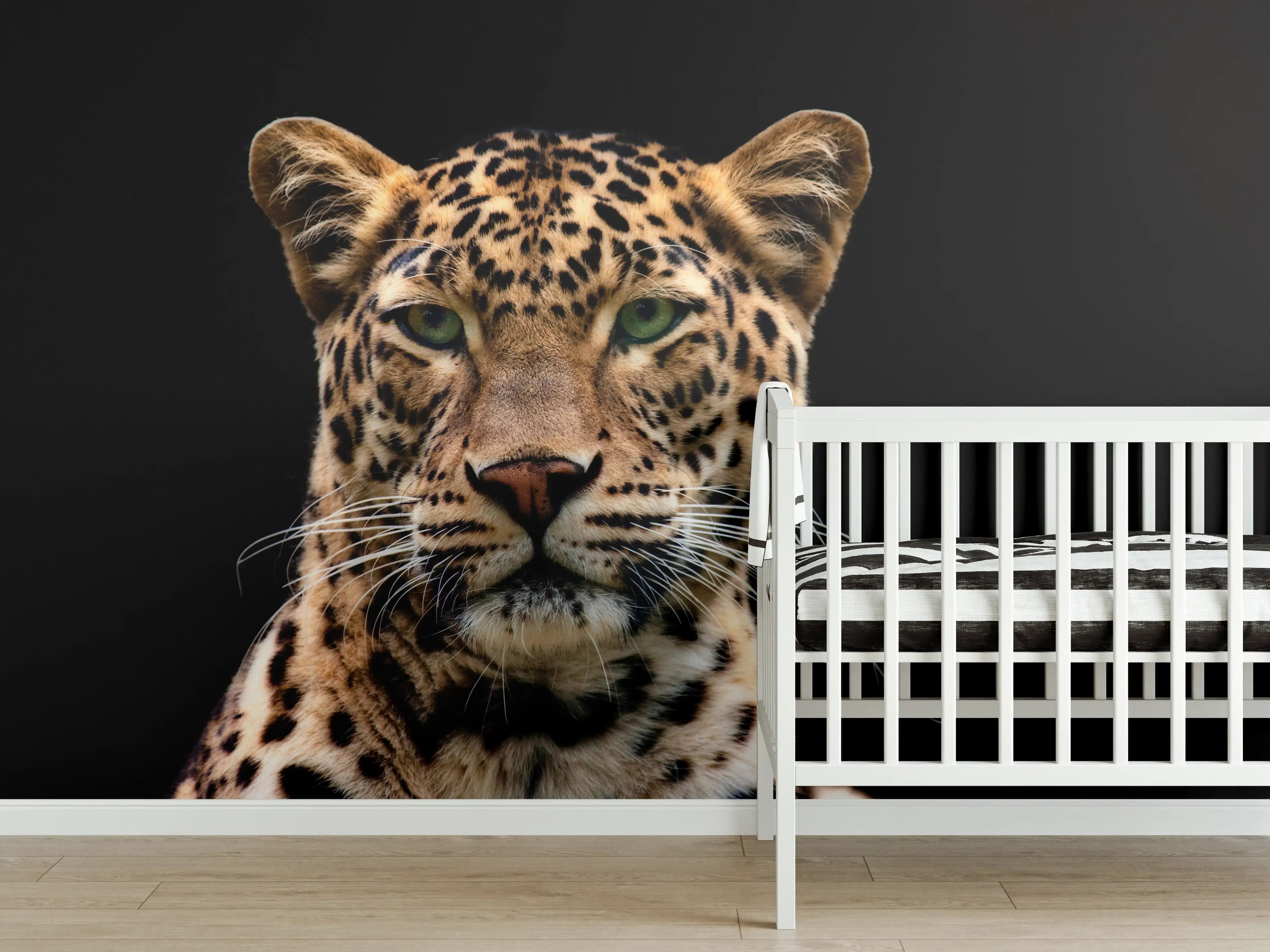 Babyzimmer Wandgestaltung - Leopard mit intensiven Blick vor dunklem Hintergrund