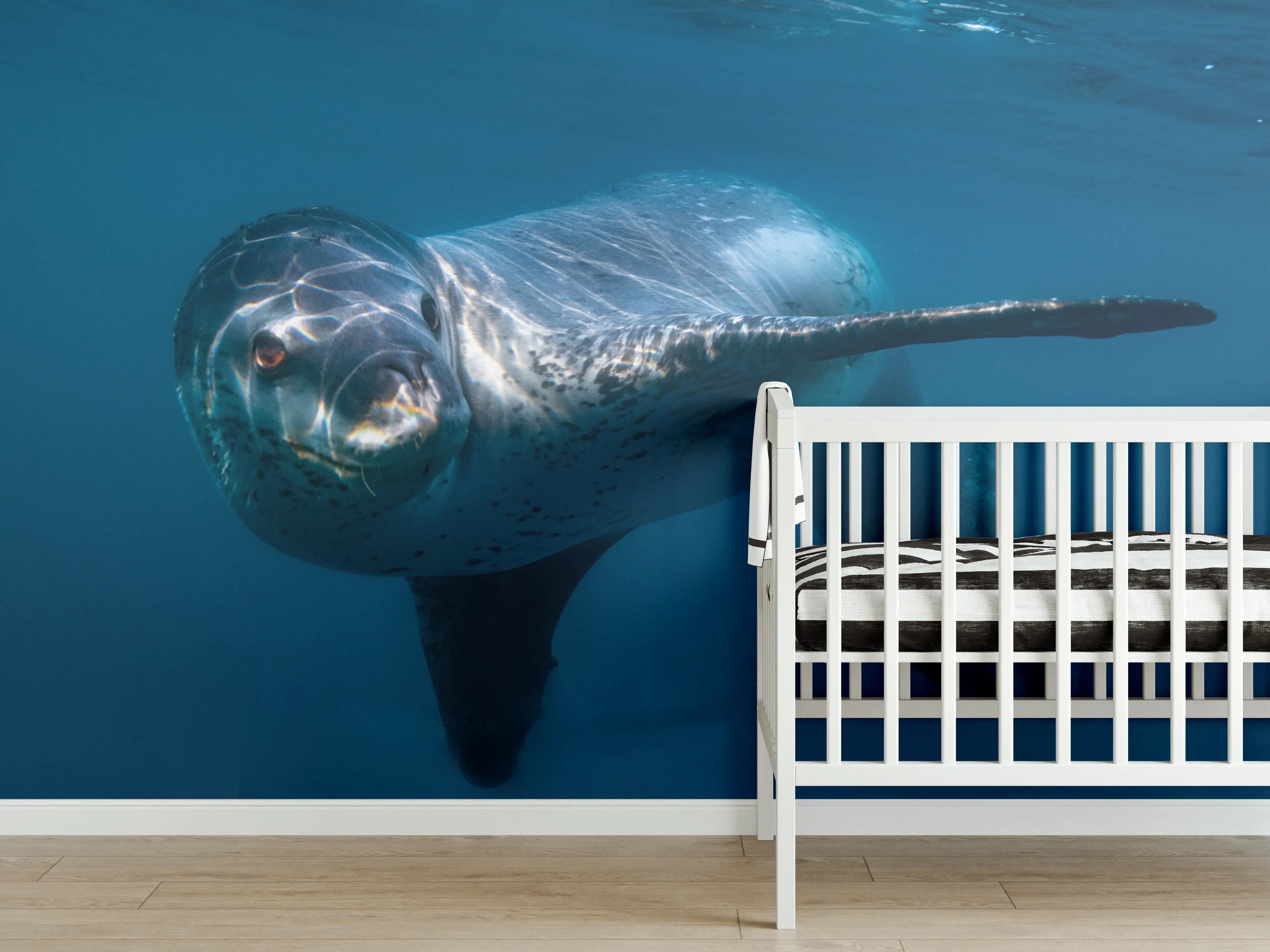 Babyzimmer Wandgestaltung - Leopardenrobbe alleine unter Wasser im Ozean