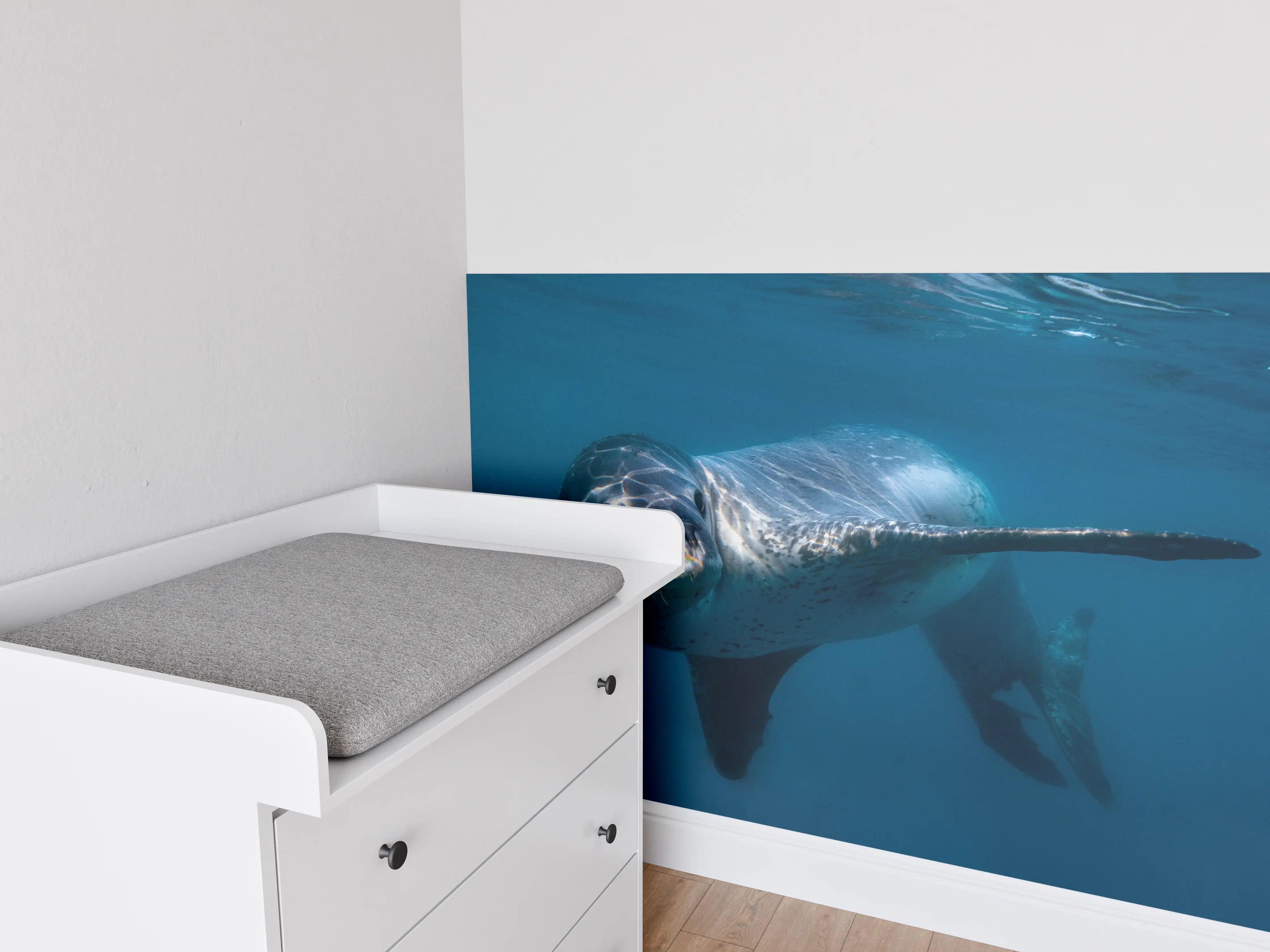 Babyzimmer Wandgestaltung - Leopardenrobbe alleine unter Wasser im Ozean