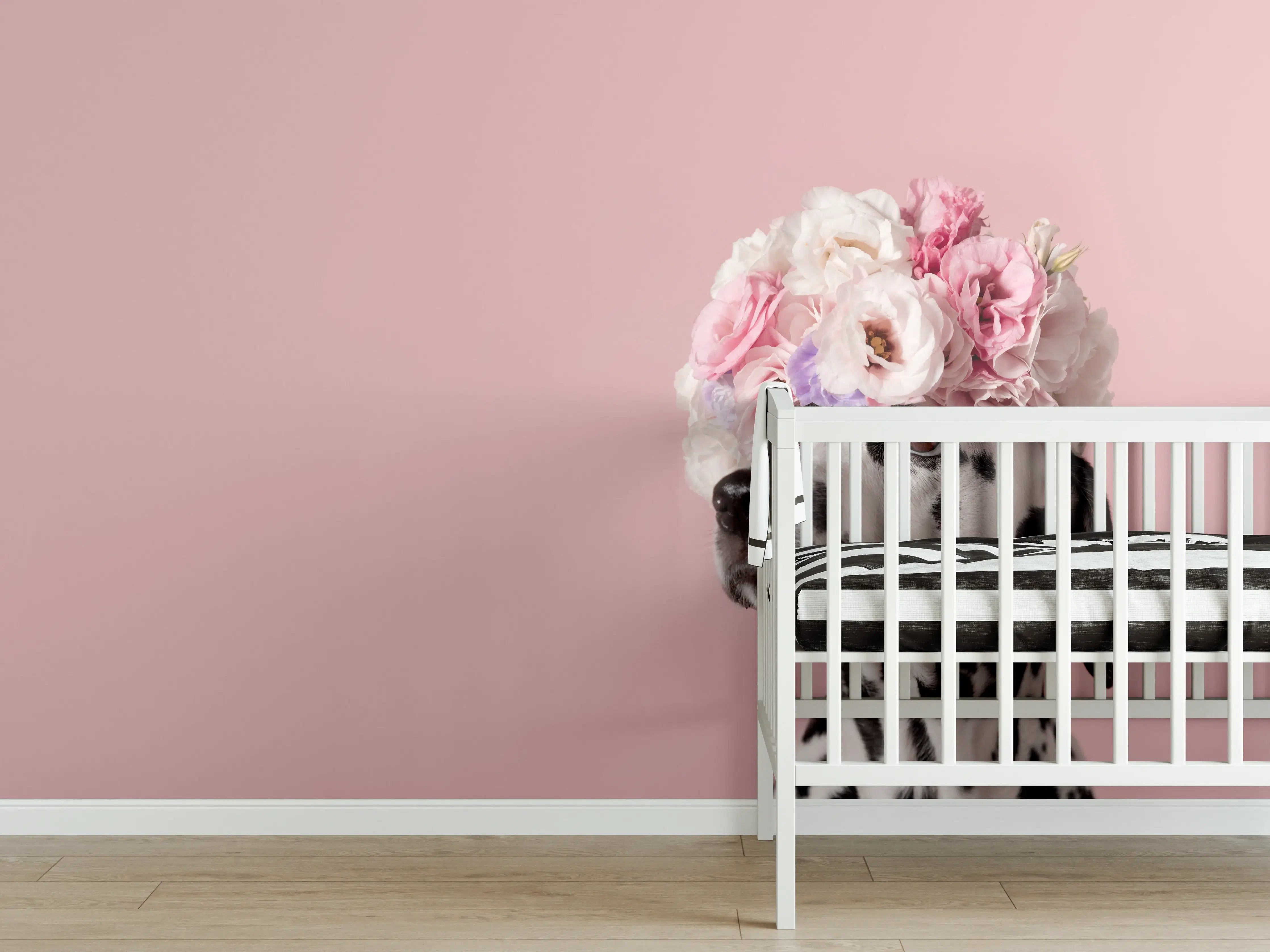 Babyzimmer Wandgestaltung - Liebenswerter Dalmatiner Hund