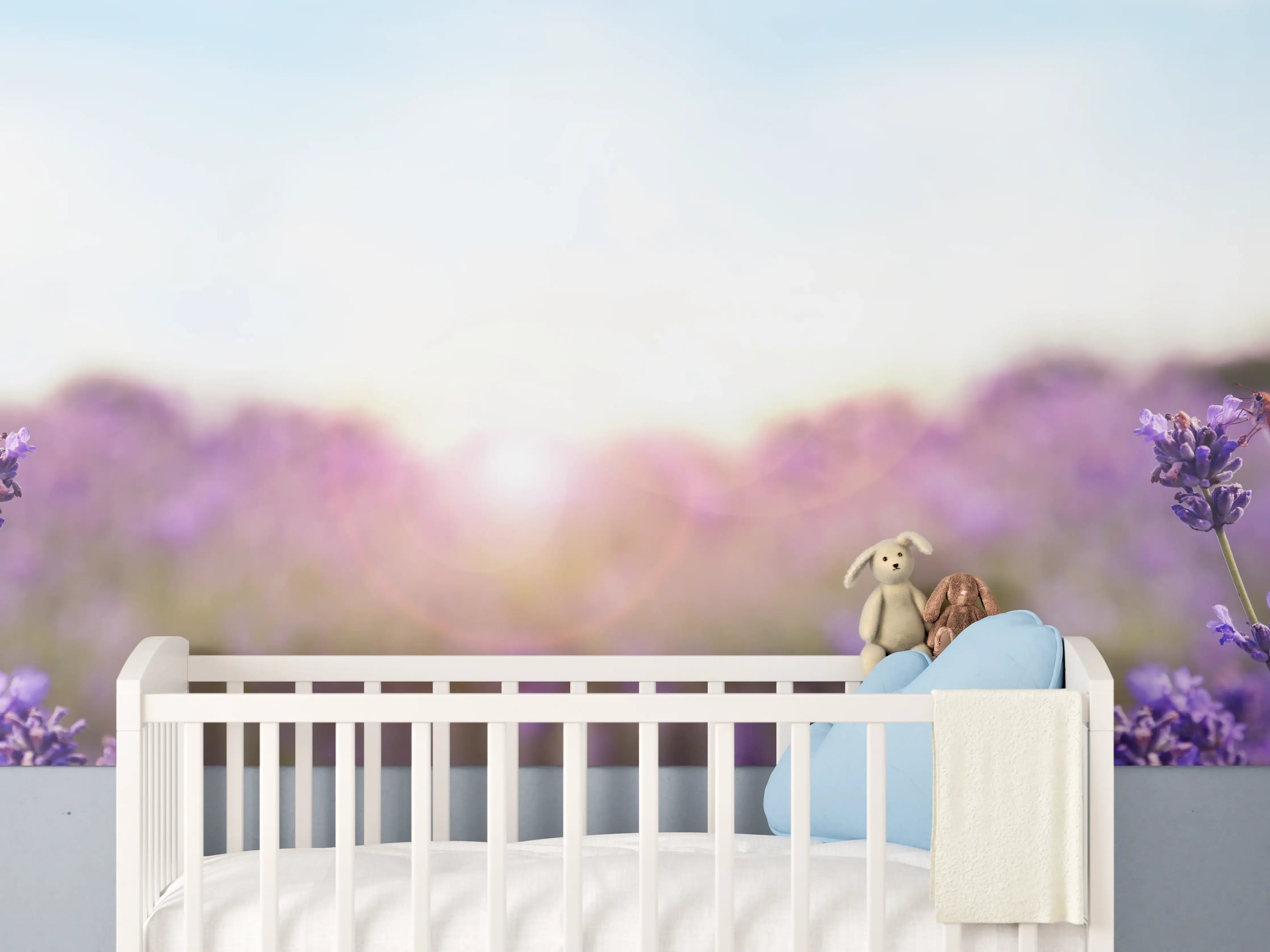 Babyzimmer Wandgestaltung - Lila Lavendelfeld im Morgenlicht